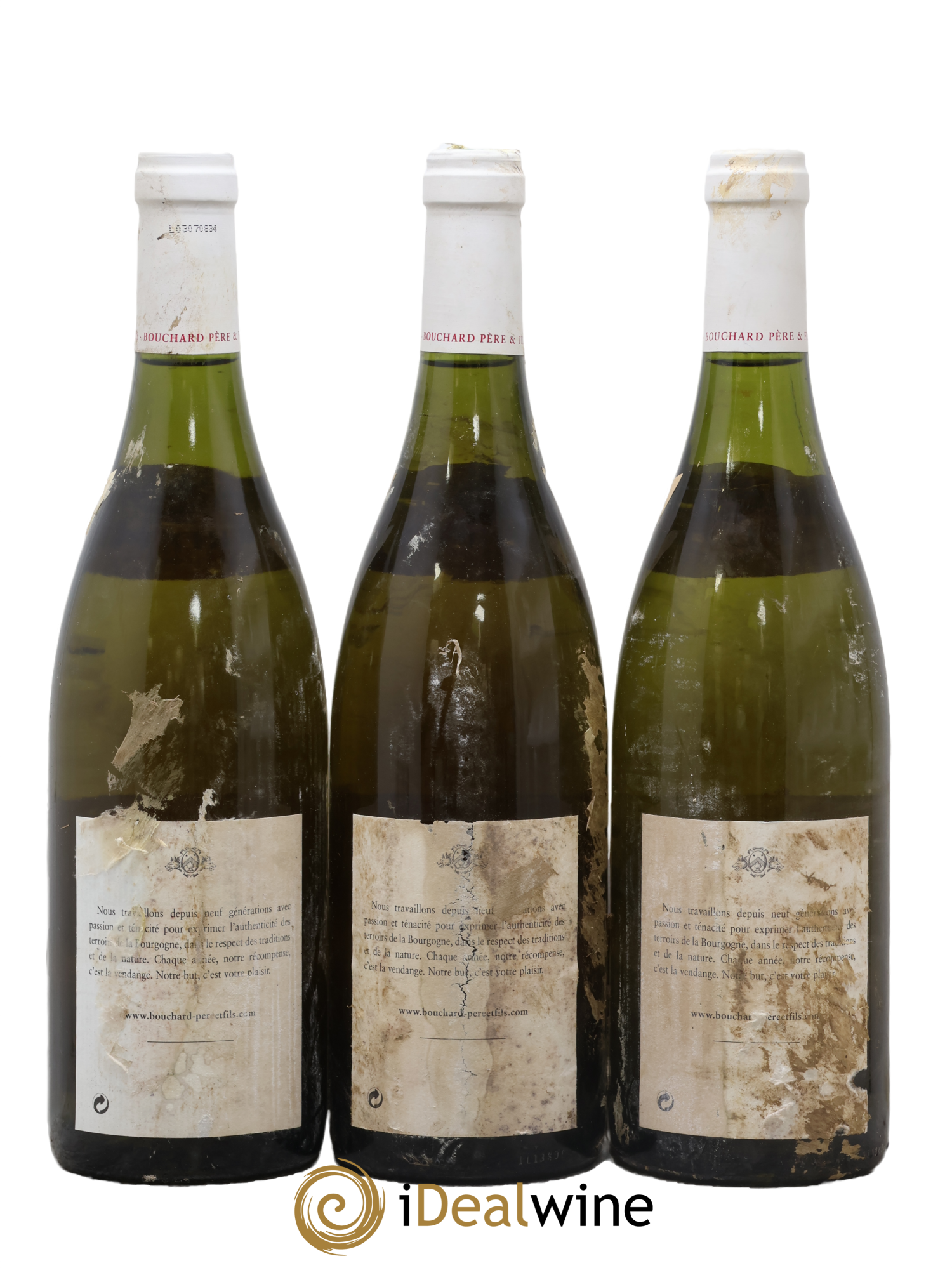 Chevalier-Montrachet Grand Cru Bouchard Père & Fils 2002 - Lot of 3 bottles - 1