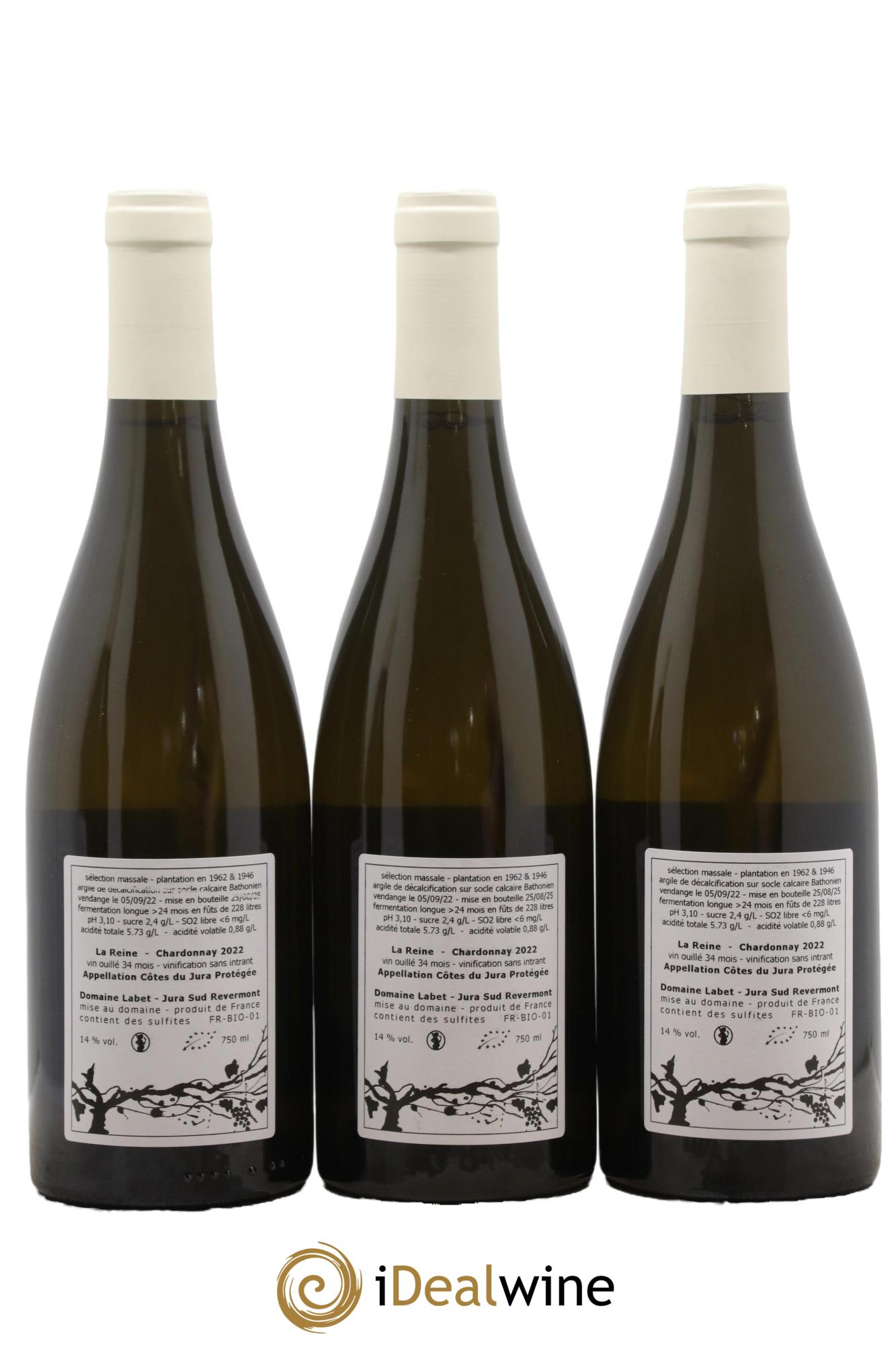 Côtes du Jura Chardonnay La Reine Romain - Julien  - Charline Labet 2022 - Lot of 3 bottles - 1