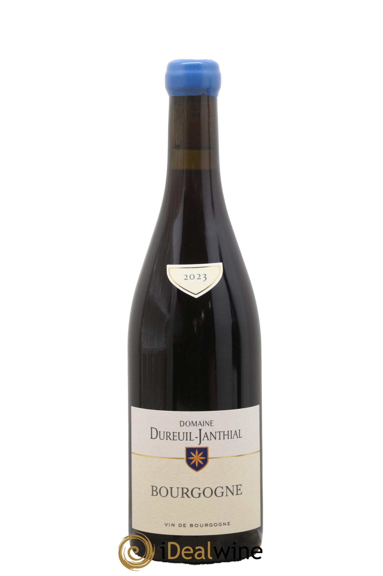 Bourgogne Pinot Noir Vincent Dureuil-Janthial 2023 - Posten von 1 Flasche - 0