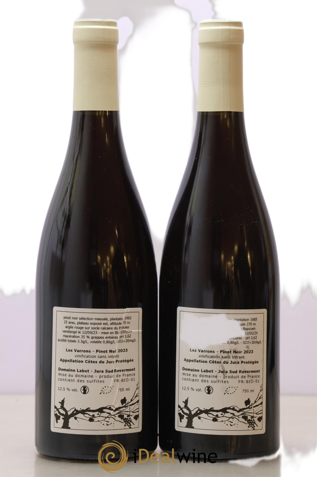 Côtes du Jura Pinot Noir Les Varrons Sélection Massale Romain - Julien - Charline Labet 2023 - Lot de 2 bouteilles - 1