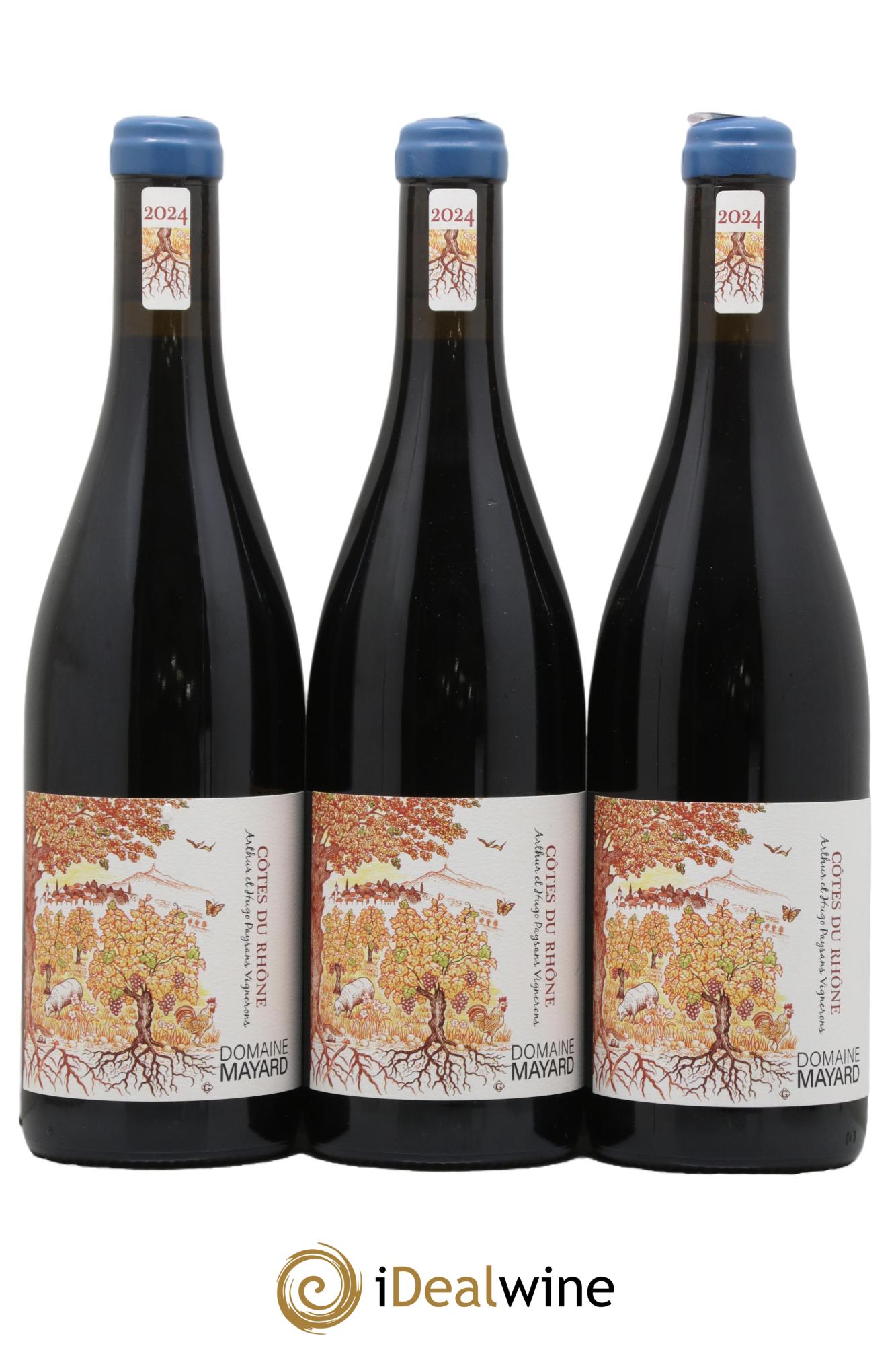 Côtes-du-Rhône Mayard (Domaine) 2024 - Lot de 3 bouteilles - 0