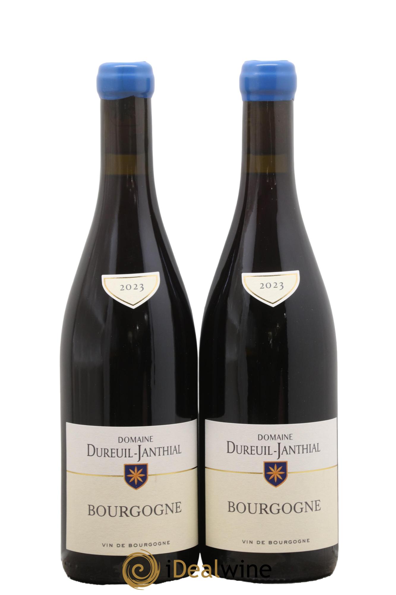 Bourgogne Pinot Noir Vincent Dureuil-Janthial 2023 - Posten von 2 Flaschen - 0