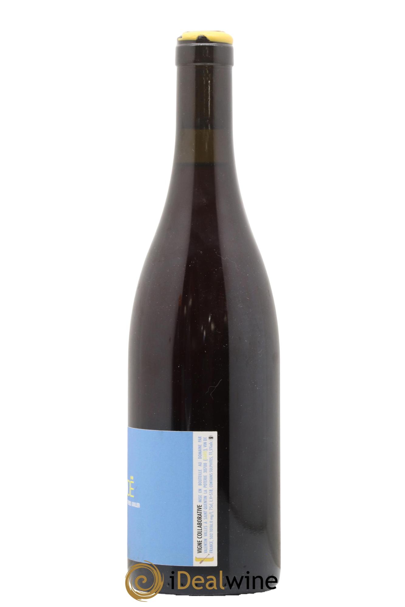 Vin de France Canoë Valentin Valles - Lot de 1 bouteille - 1