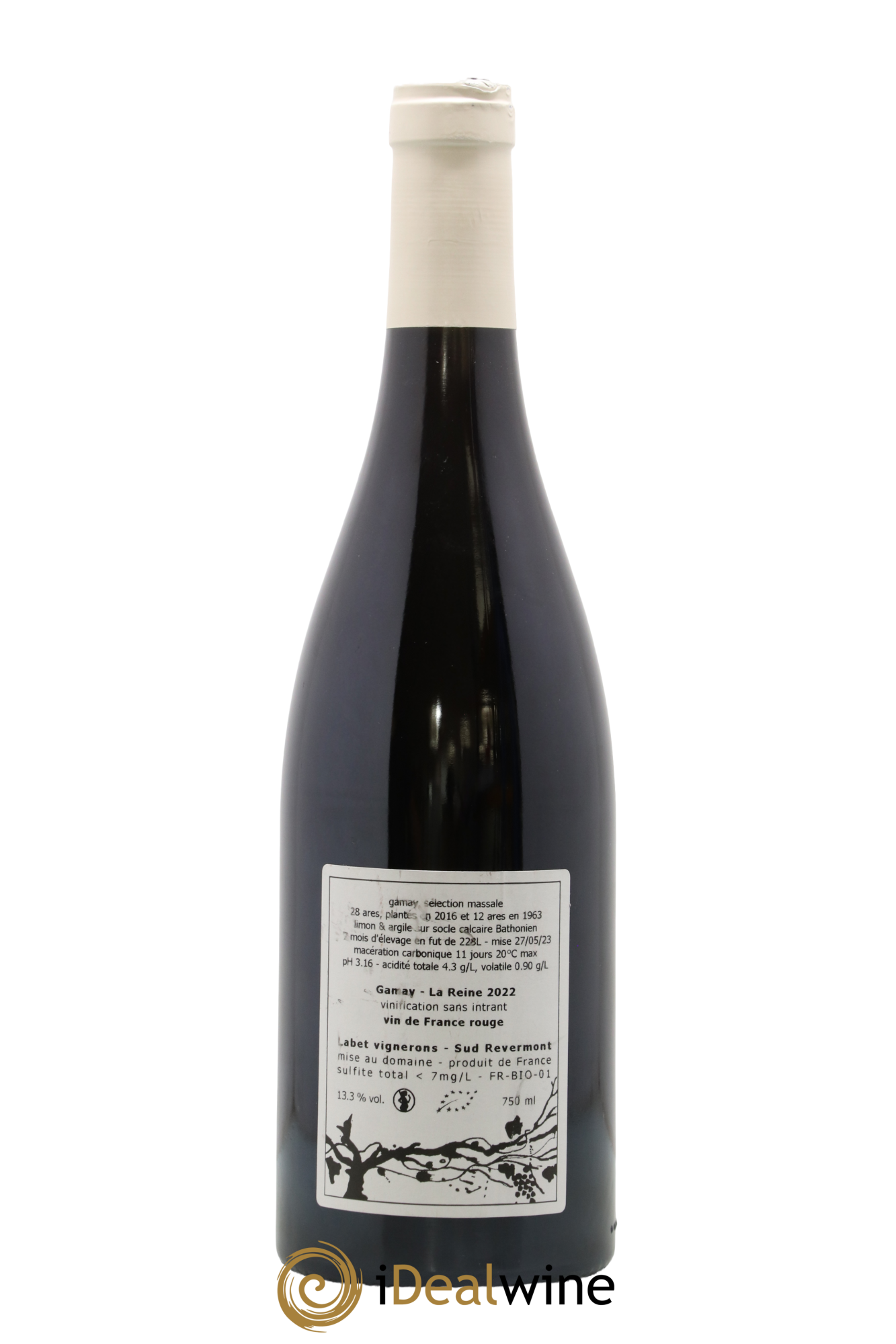 Vin de France Gamay La Reine Labet (Domaine) 2022 - Posten von 1 Flasche - 1