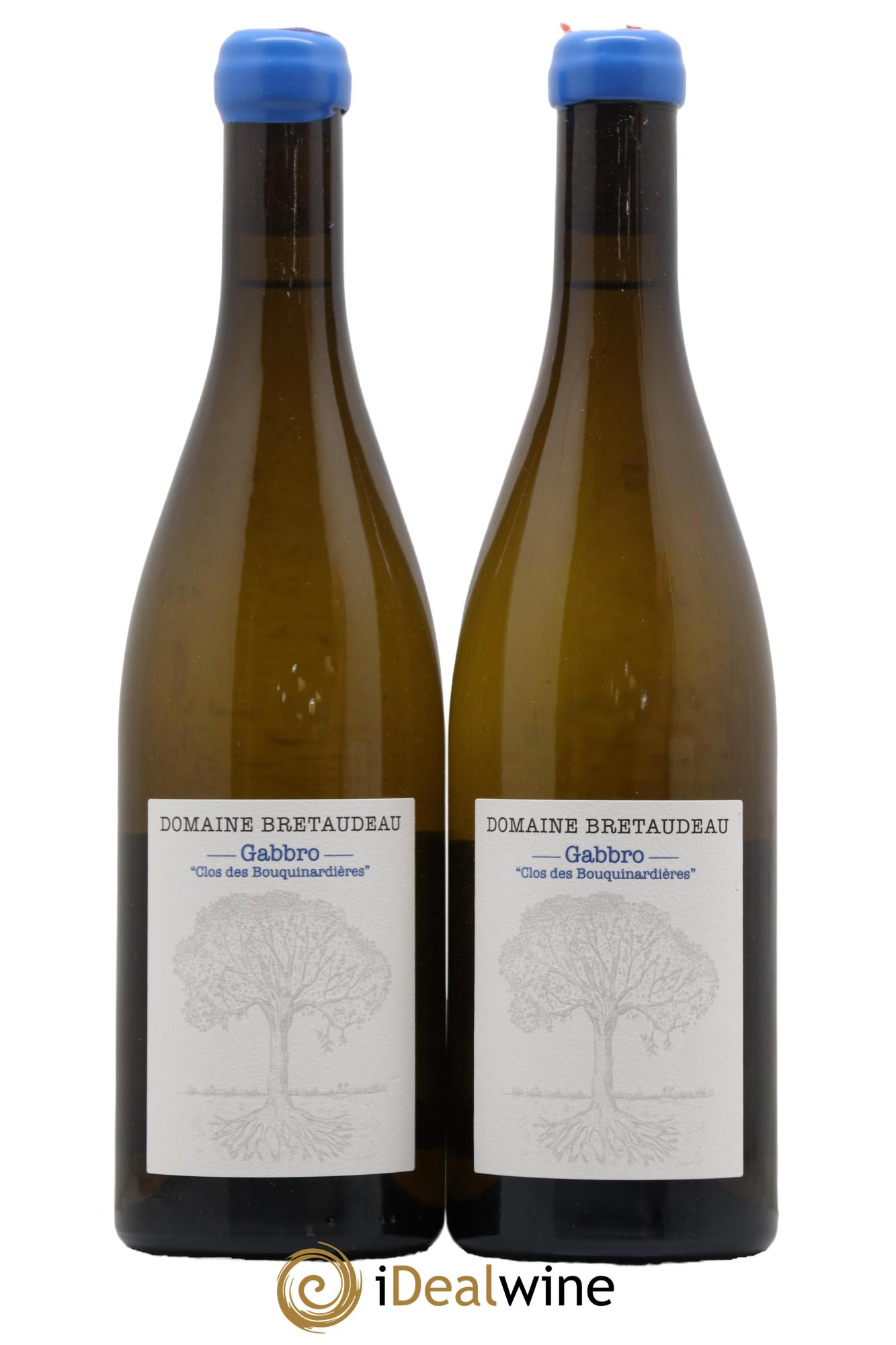 Muscadet-Sèvre-et-Maine Gabbro Clos des Bouquinardières Jérôme Bretaudeau - Domaine de Bellevue 2022 - Lot de 2 bouteilles - 0