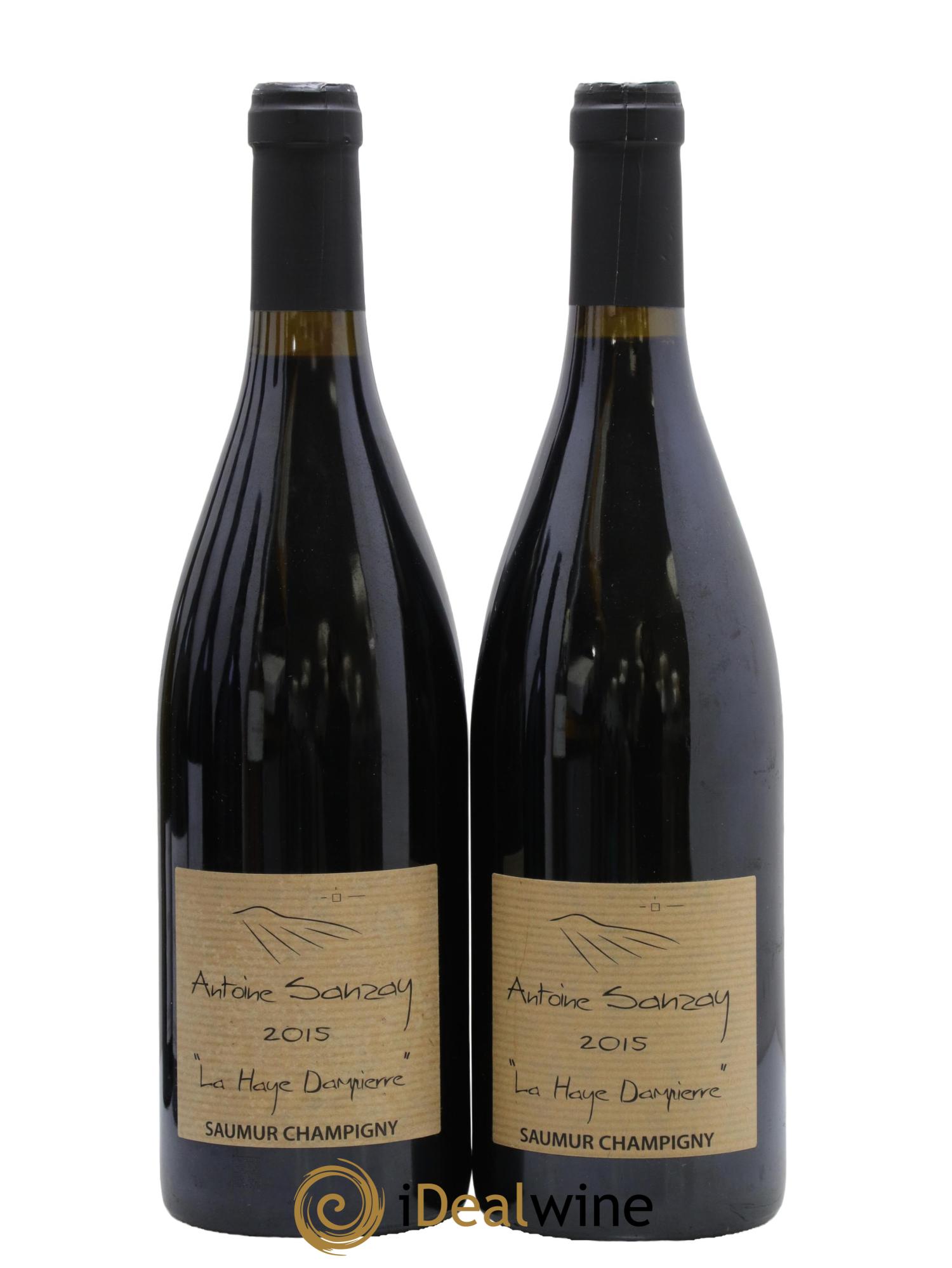 Saumur-Champigny La Haye Dampierre Antoine Sanzay 2015 - Posten von 2 Flaschen - 0