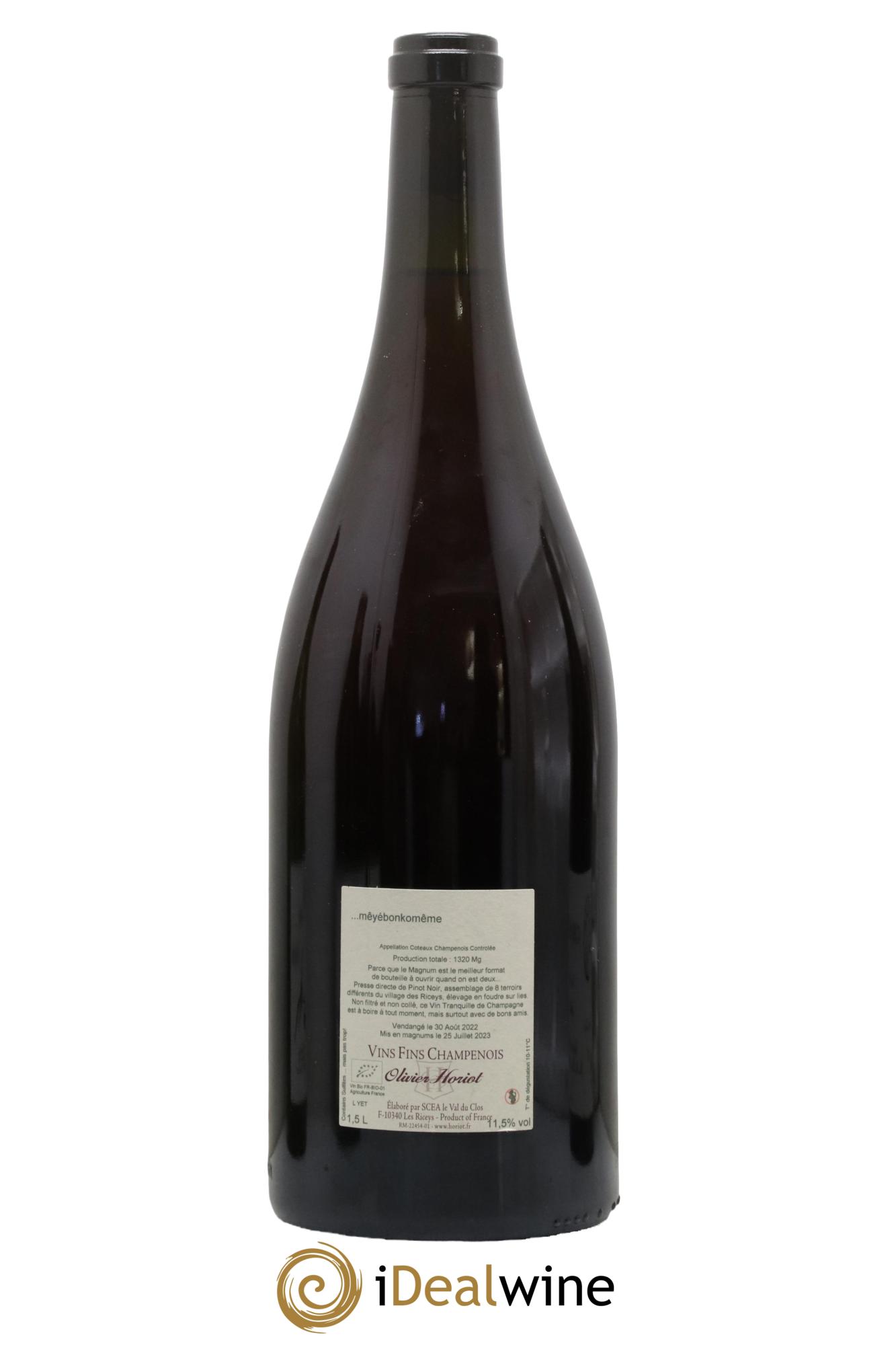 Coteaux Champenois Yétinté Olivier Horiot - Lot de 1 magnum - 1