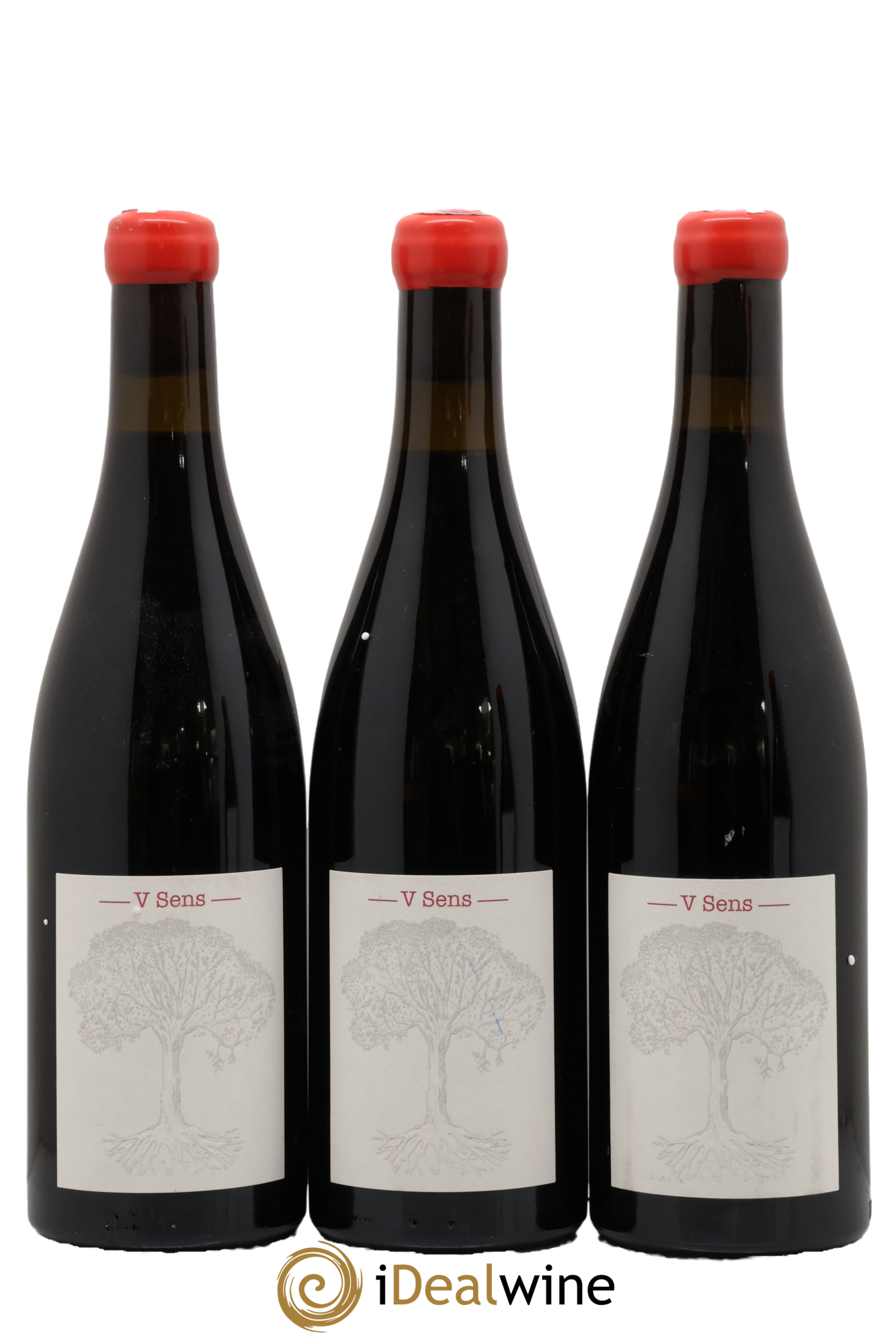 Vin de France V Sens Jérôme Bretaudeau - Domaine de Bellevue 2014 - Posten von 3 Flaschen - 0