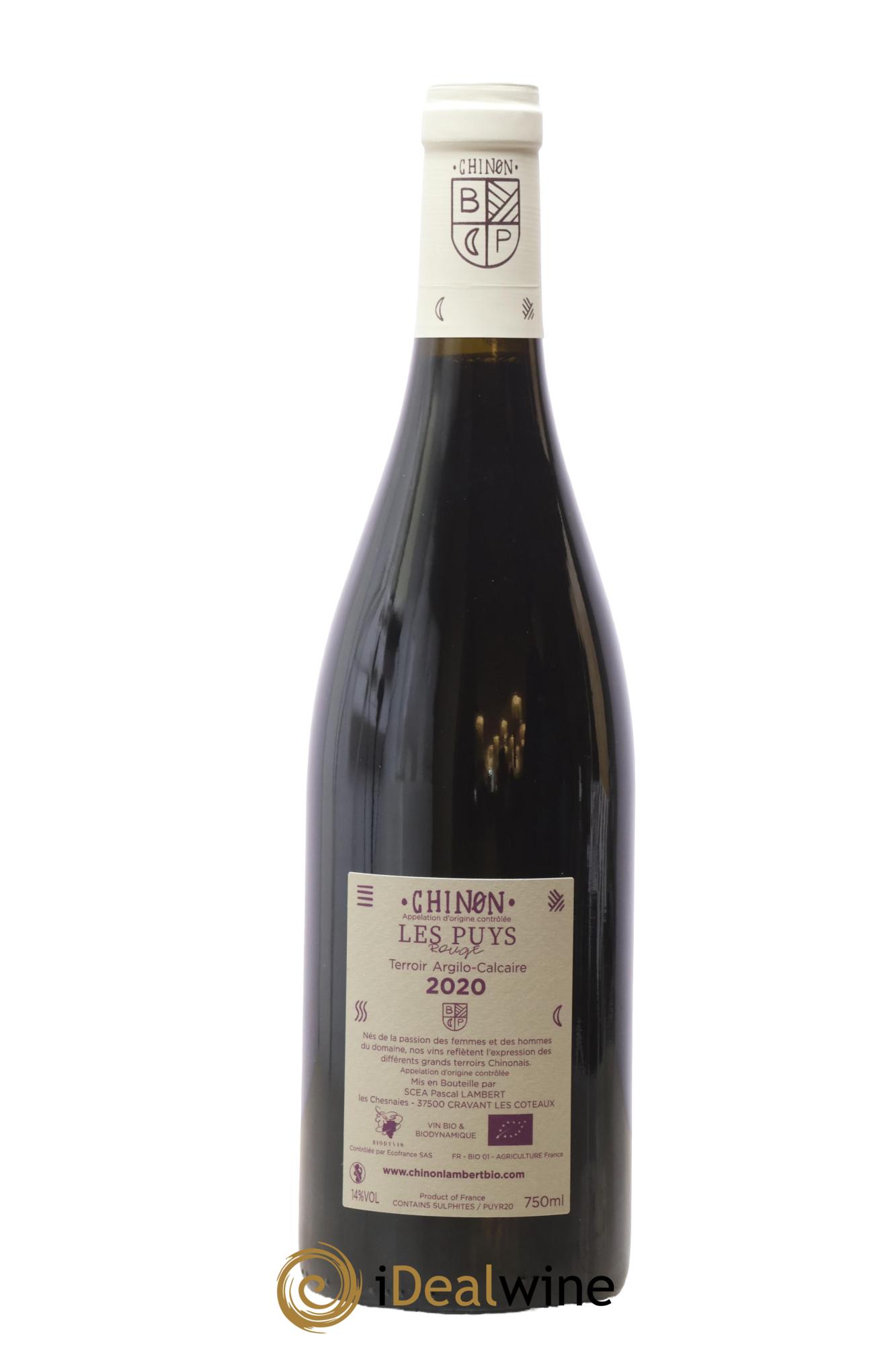 Chinon Les Puys Domaine Lambert 2020 - Lotto di 1 bottiglia - 1