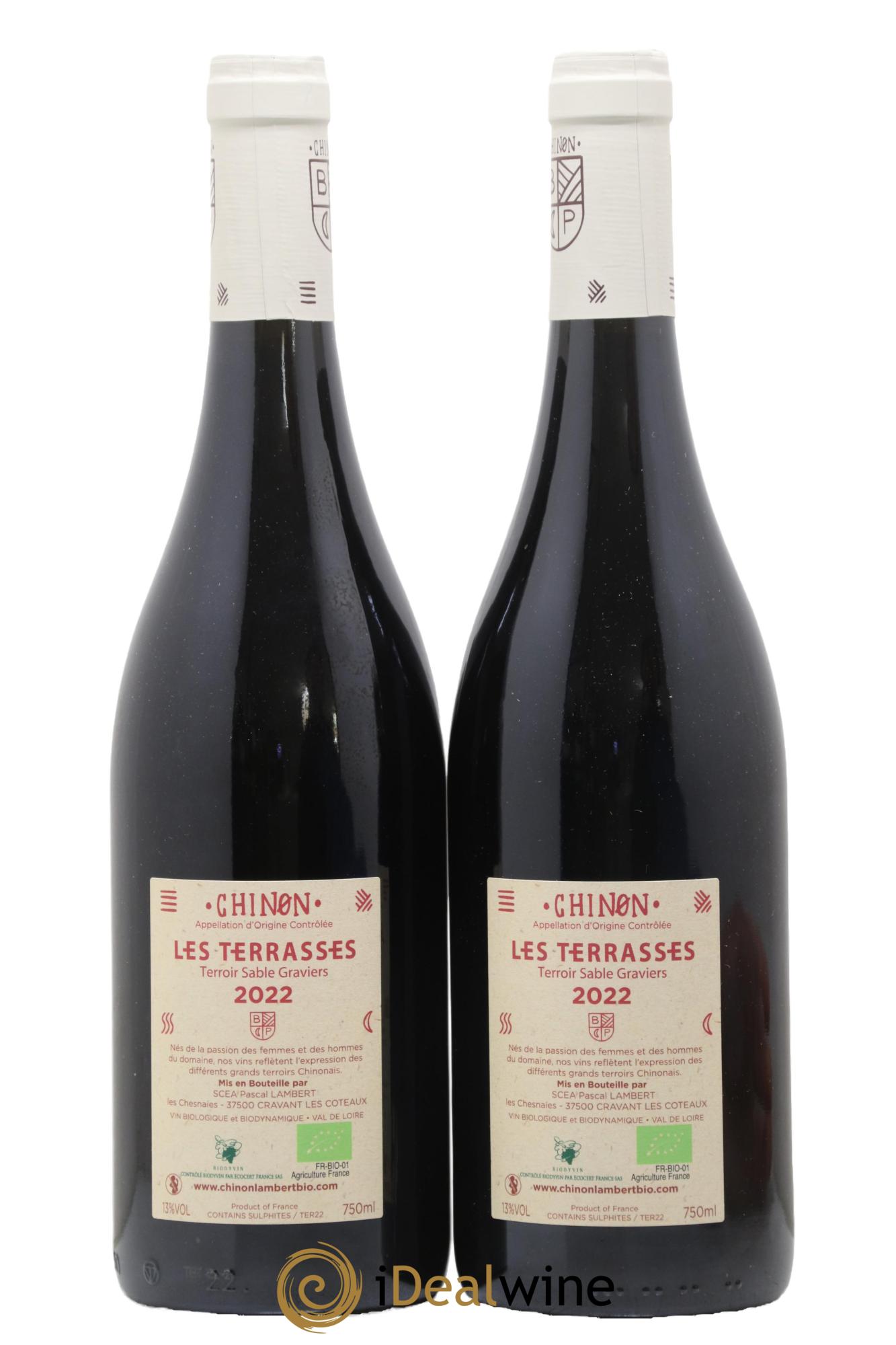 Chinon Les Terrasses Domaine Lambert 2022 - Lot of 2 bottles - 1