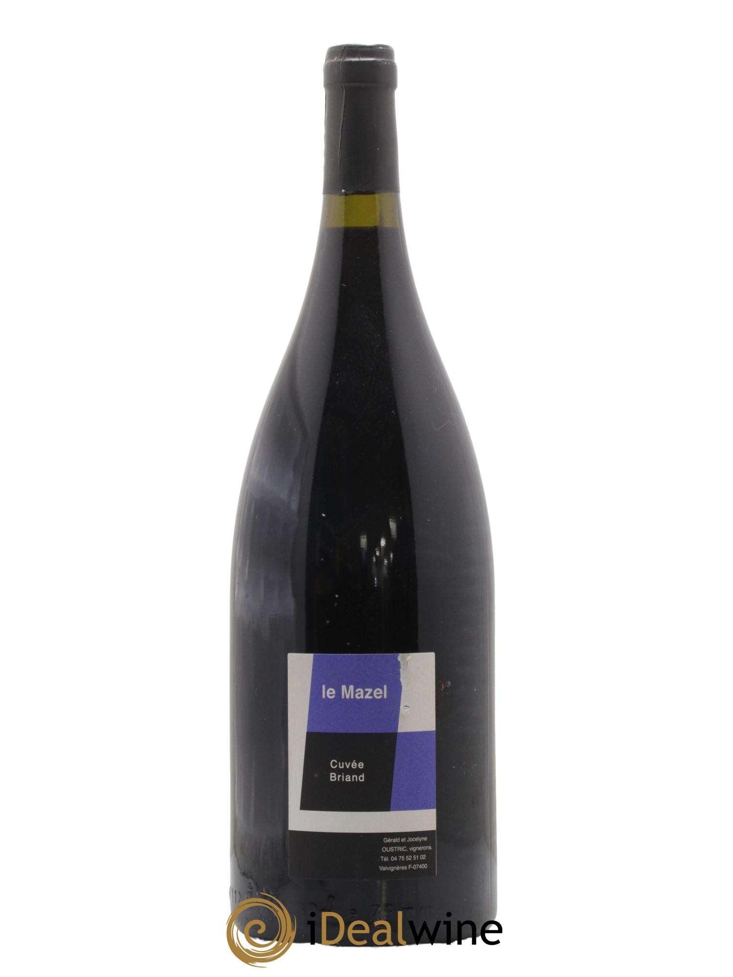 Vin de France cuvée Briand le Mazel 2009 - Lot de 1 magnum - 0