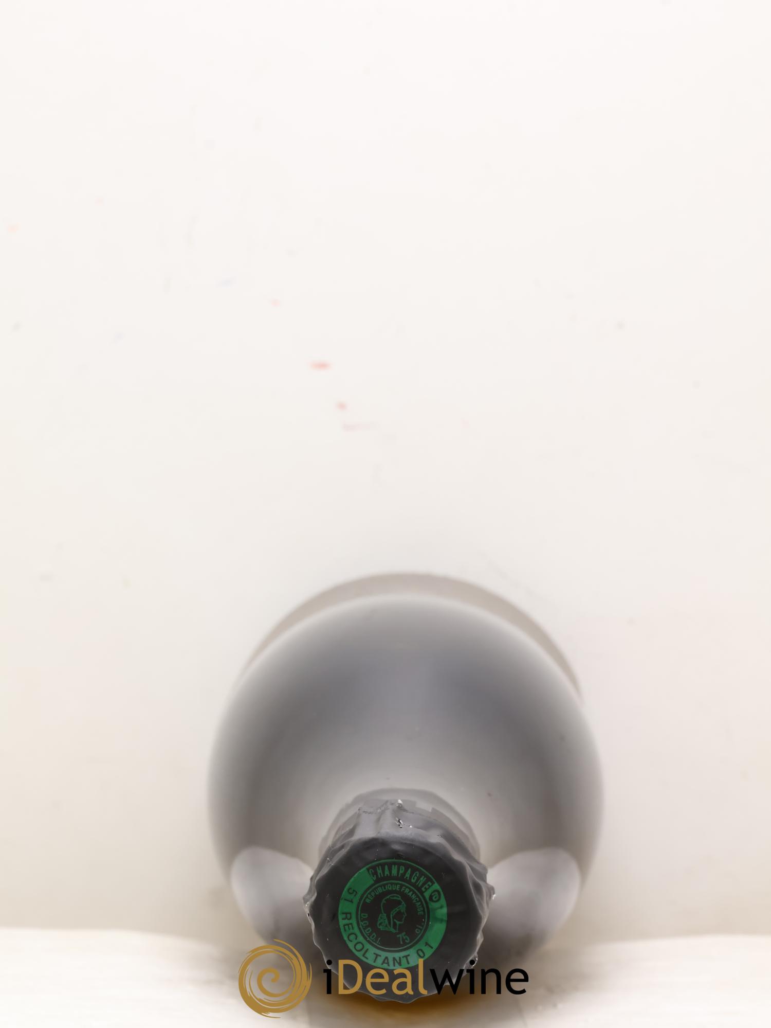 Roses de Jeanne Côte de Val Vilaine Blanc de Noirs Cédric Bouchard 2022 - Lot of 1 bottle - 2