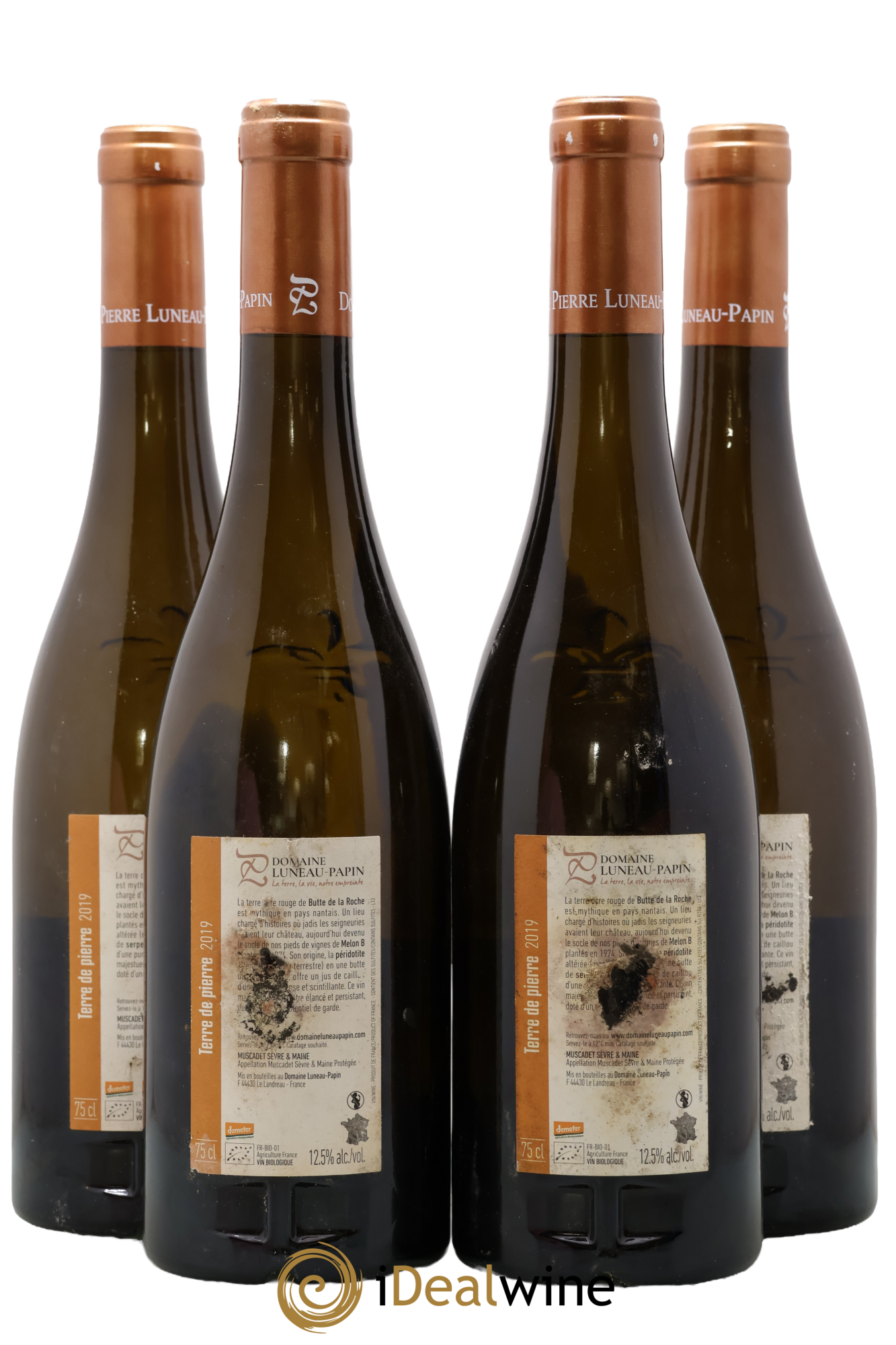 Muscadet-Sèvre-et-Maine sur lie Terre de Pierre Luneau-Papin 2019 - Lot de 4 bouteilles - 1