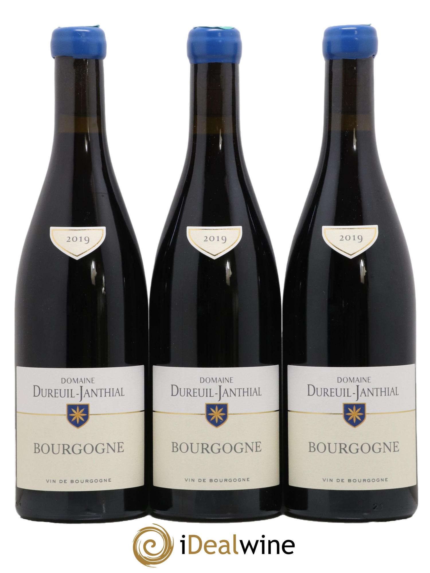Bourgogne Pinot Noir Vincent Dureuil-Janthial 2019 - Lot de 3 bouteilles - 0