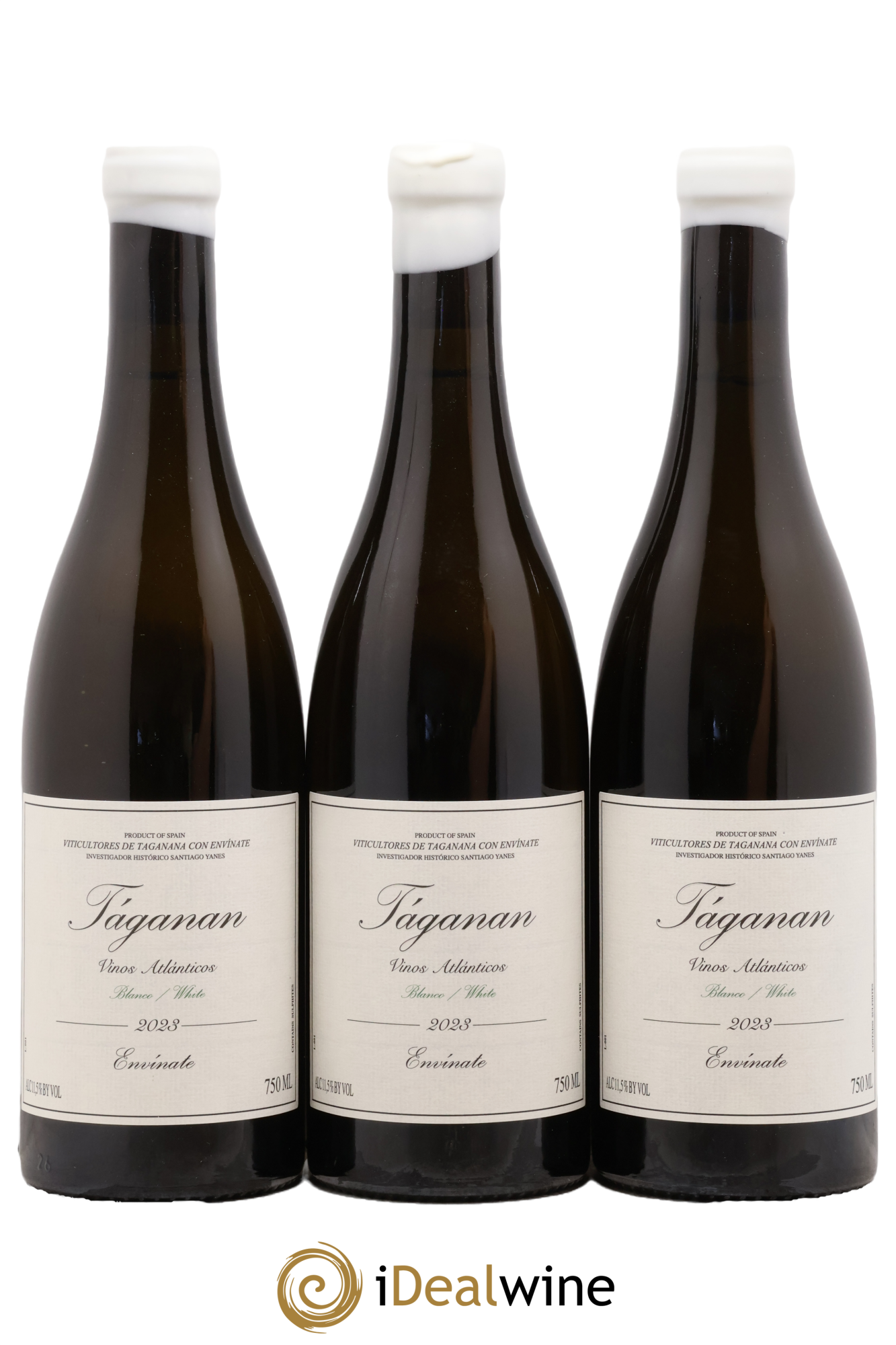 Vinos Atlántico Táganan Blanco Envinate 2023 - Lot de 3 bouteilles - 0