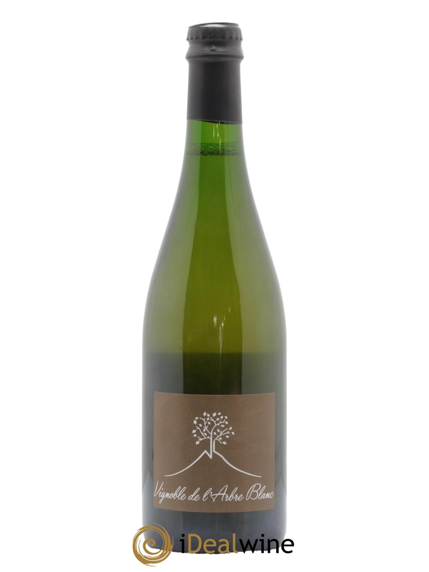 Vin de France Ma Carotte Vignoble de l'Arbre Blanc 2018 - Lot de 1 bouteille - 0