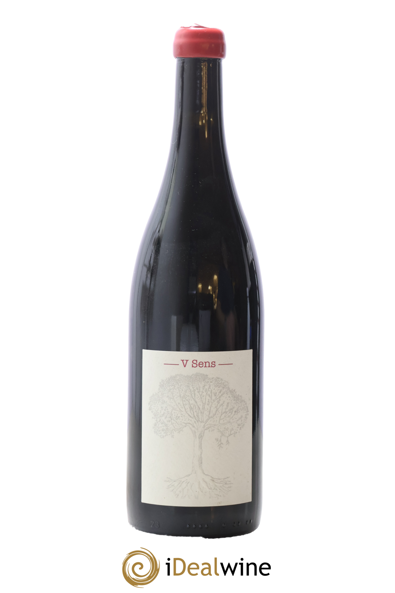 Vin de France V Sens Jérôme Bretaudeau - Domaine de Bellevue 2020 - Lotto di 1 bottiglia - 0