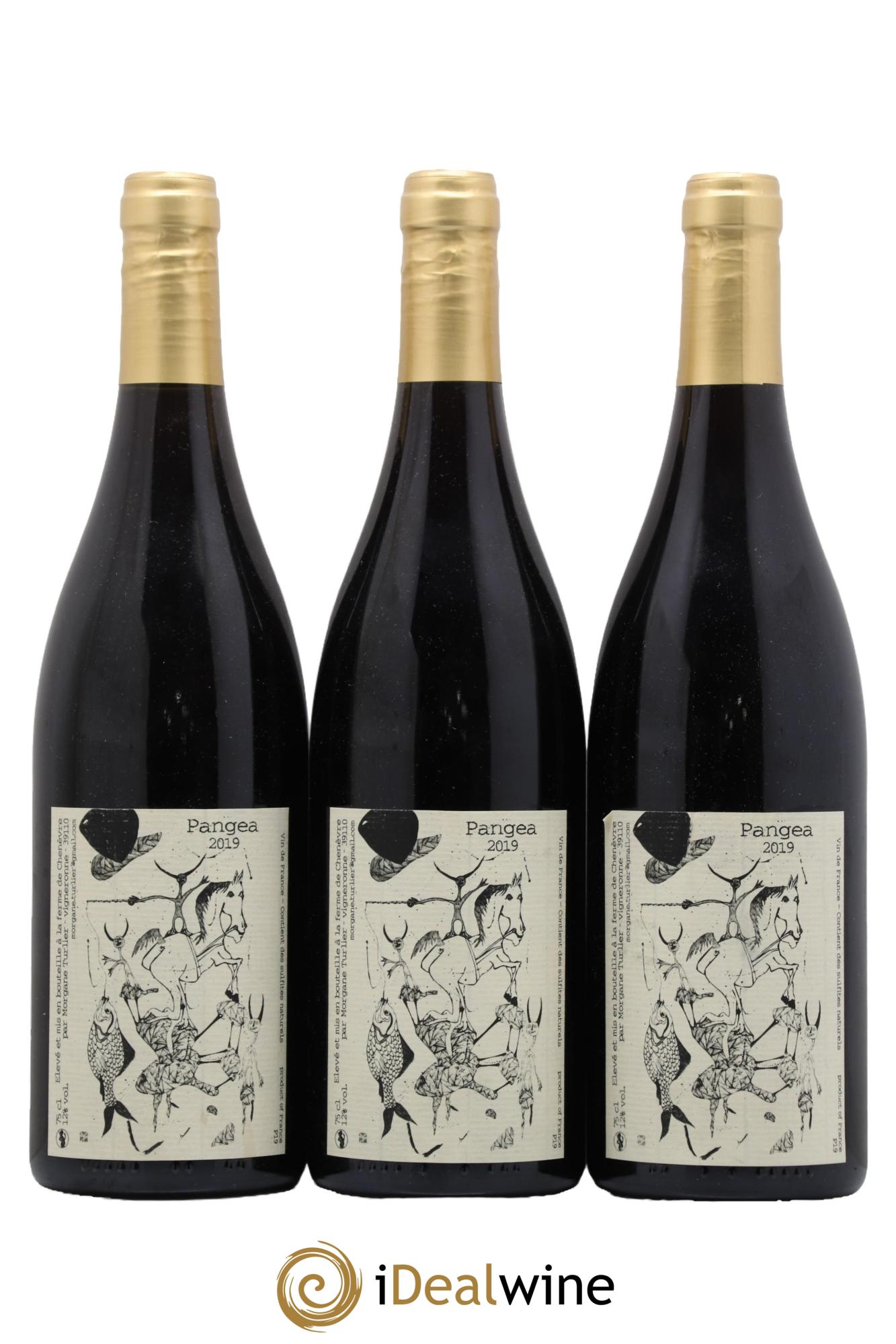 Vin de France Pangea Morgane Turlier 2019 - Lot de 3 bouteilles - 0