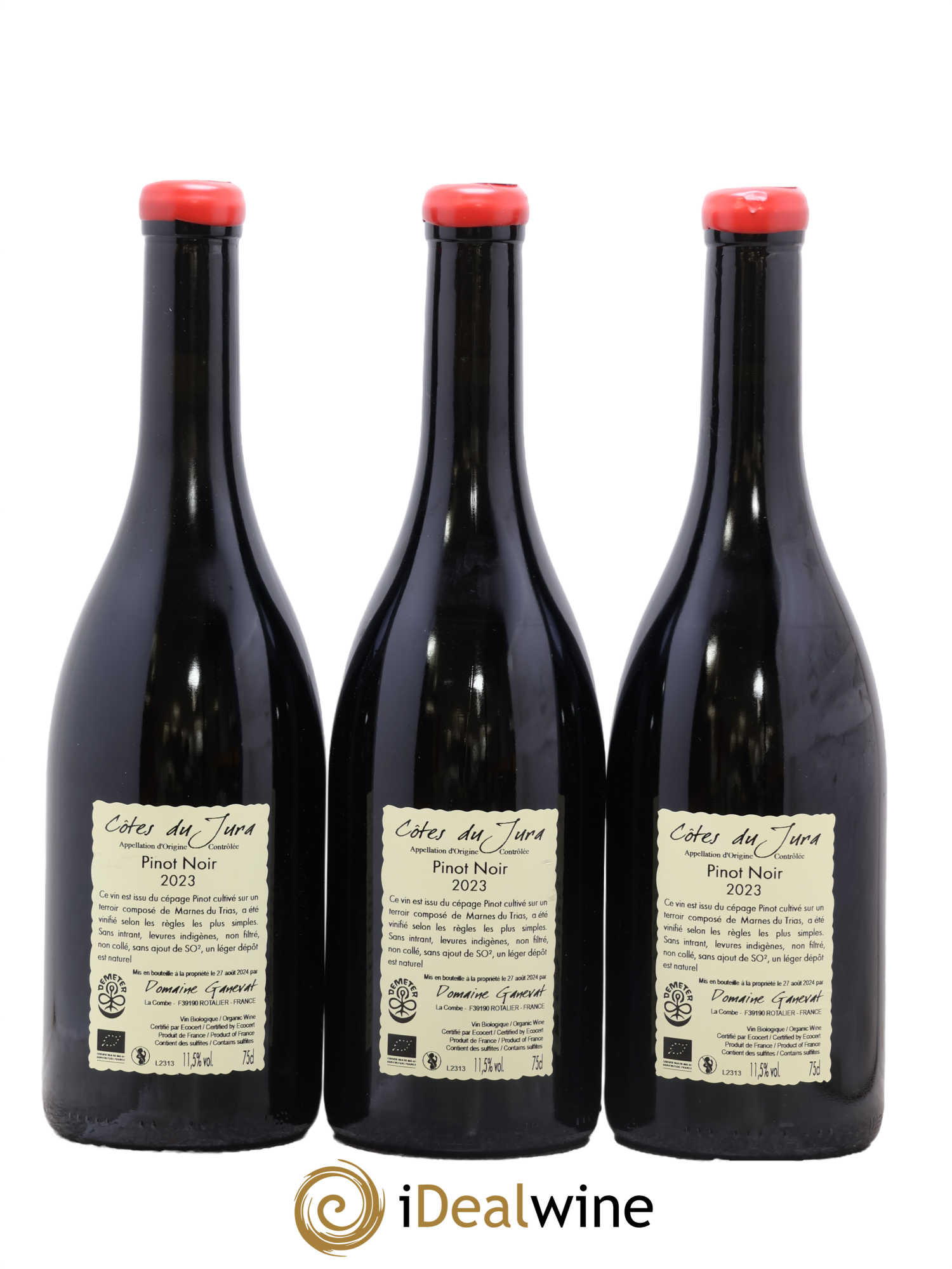 Côtes du Jura Les Grands Teppes Jean-François Ganevat (Domaine) 2023 - Lotto di 3 bottiglie - 1
