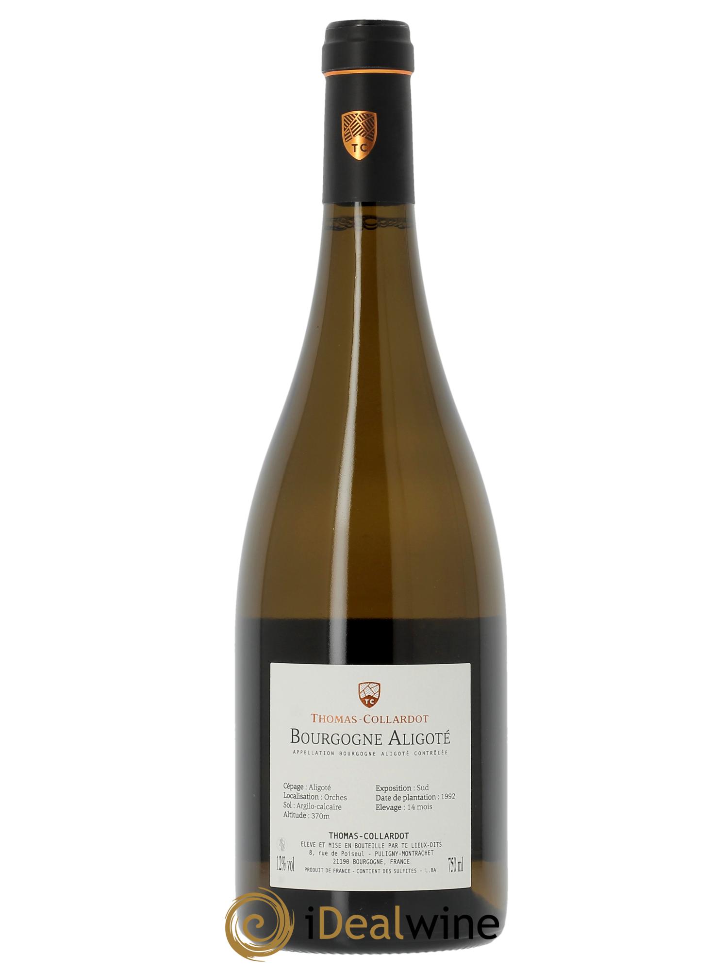 Bourgogne Aligoté Thomas-Collardot (Domaine) 2023 - Lotto di 1 bottiglia - 1