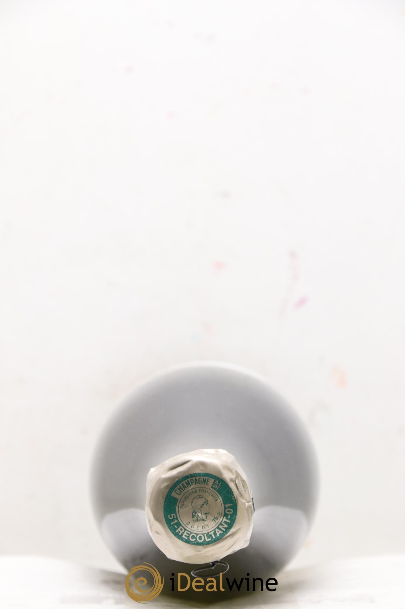 Version Originale Jacques Selosse - Posten von 1 Flasche - 2