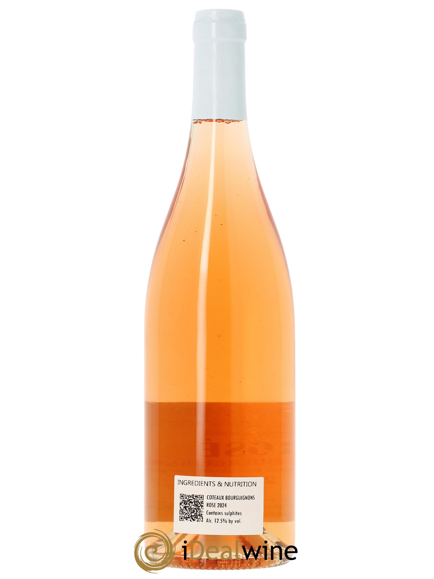 Coteaux Bourguignons Vincent Bouzereau (Domaine)  2024 - Posten von 1 Flasche - 1