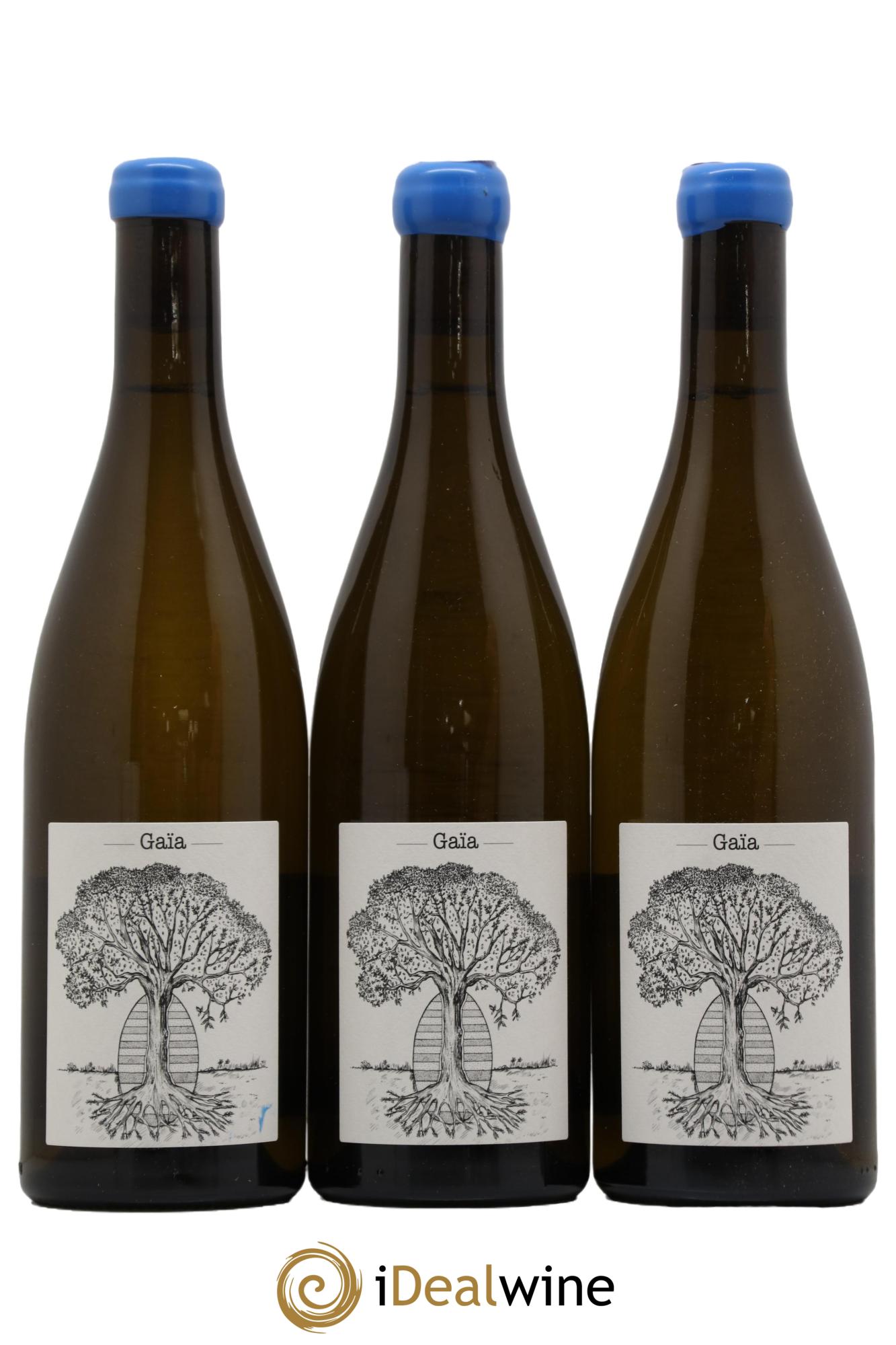 Muscadet-Sèvre-et-Maine Gaia Jérôme Bretaudeau - Domaine de Bellevue 2020 - Lot de 3 bouteilles - 0