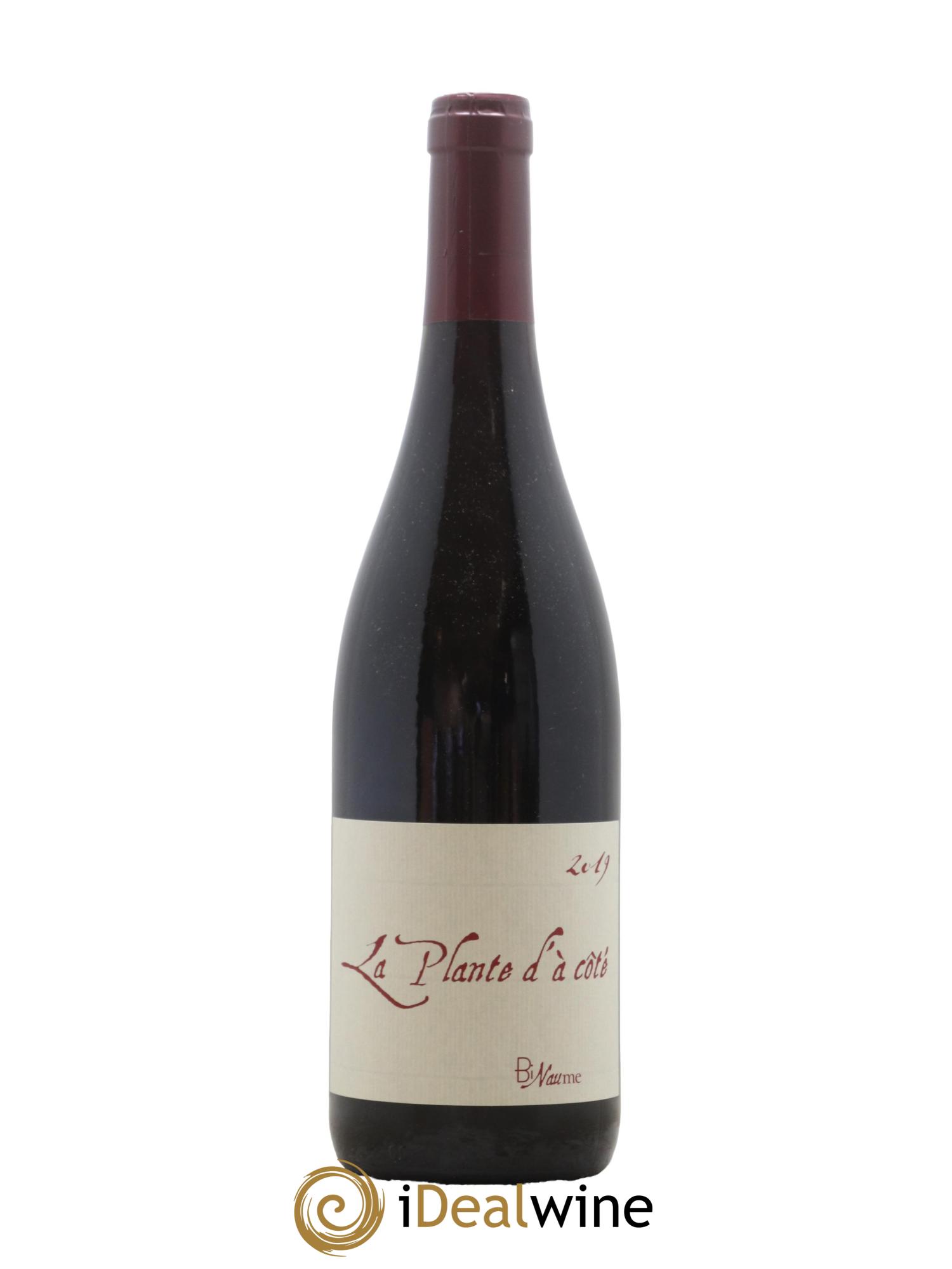 Vin de France La Plante d'à coté Binaume Bizot-Naudin 2019 - Lot de 1 bouteille - 0