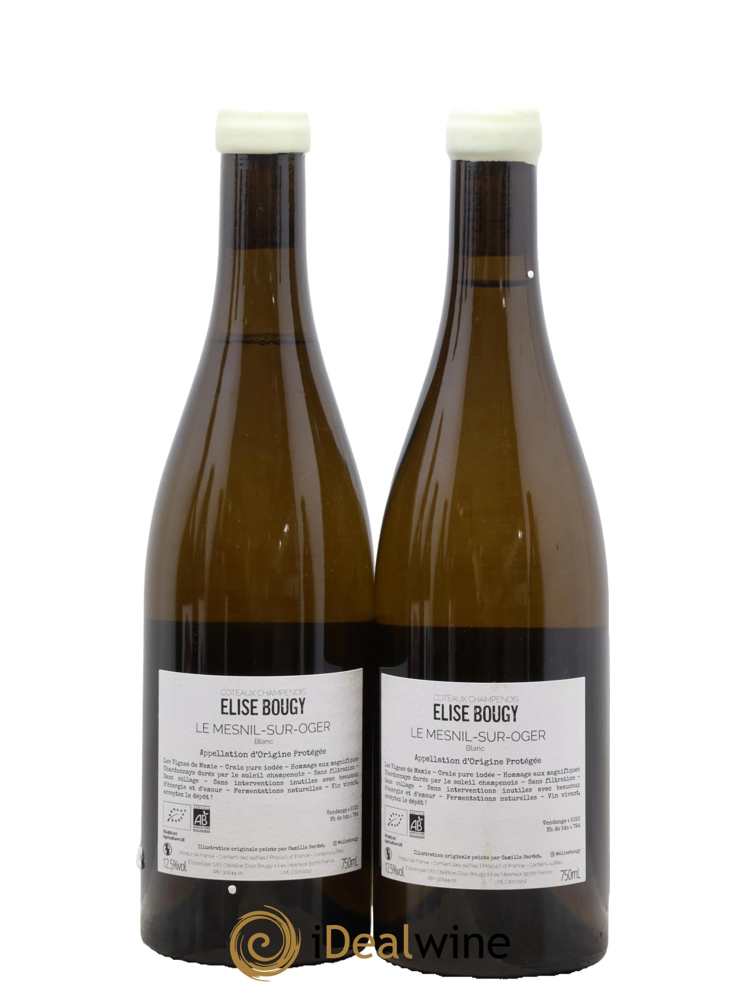 Coteaux Champenois Ne pas faire sans blanc Elise Bougy Le Mesnil Sur Oger Elise Bougy 2022 - Lotto di 2 bottiglie - 1