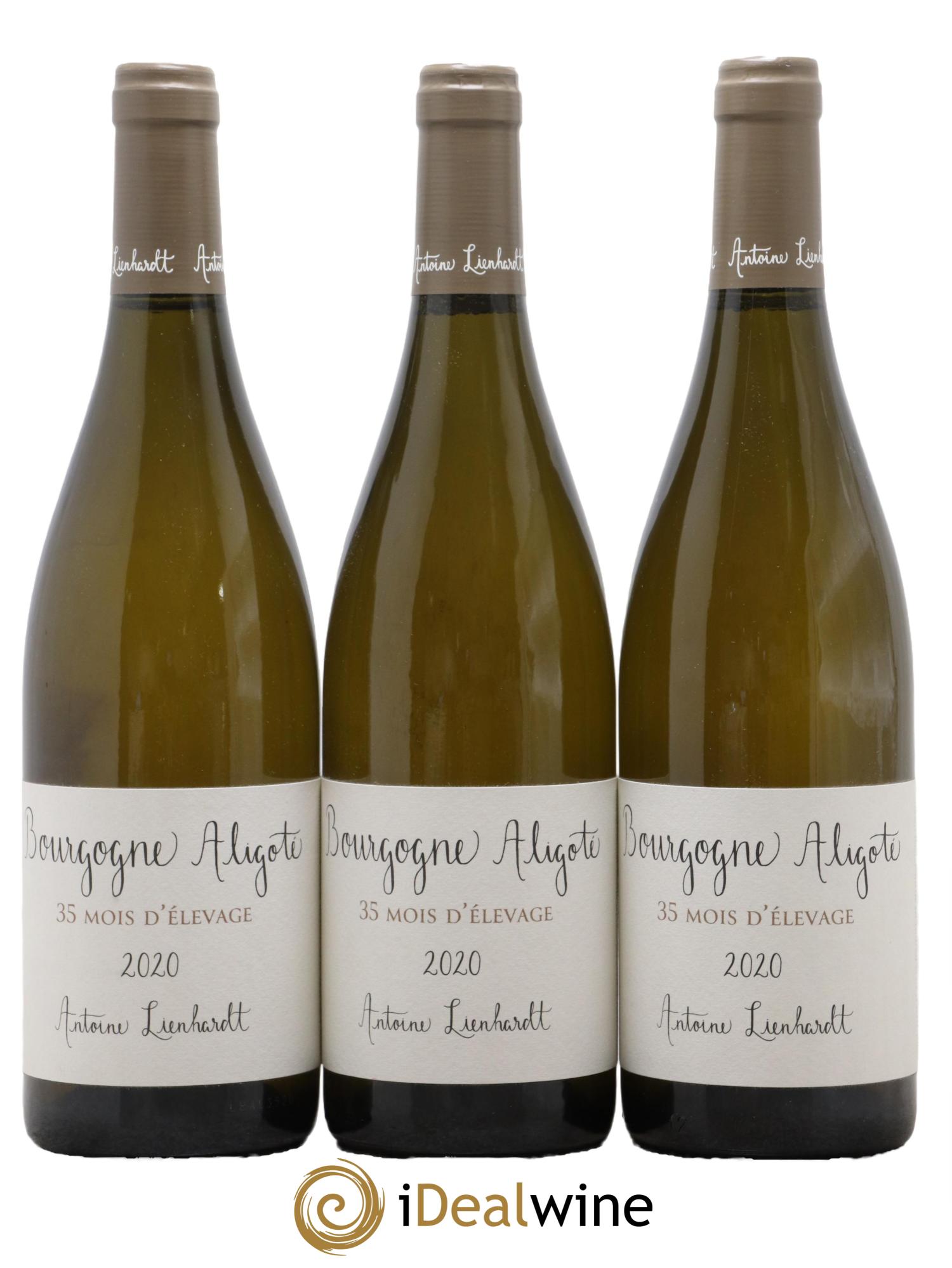 Bourgogne Aligoté 35 mois d'élevage Antoine Lienhardt 2020 - Lot de 3 bouteilles - 0