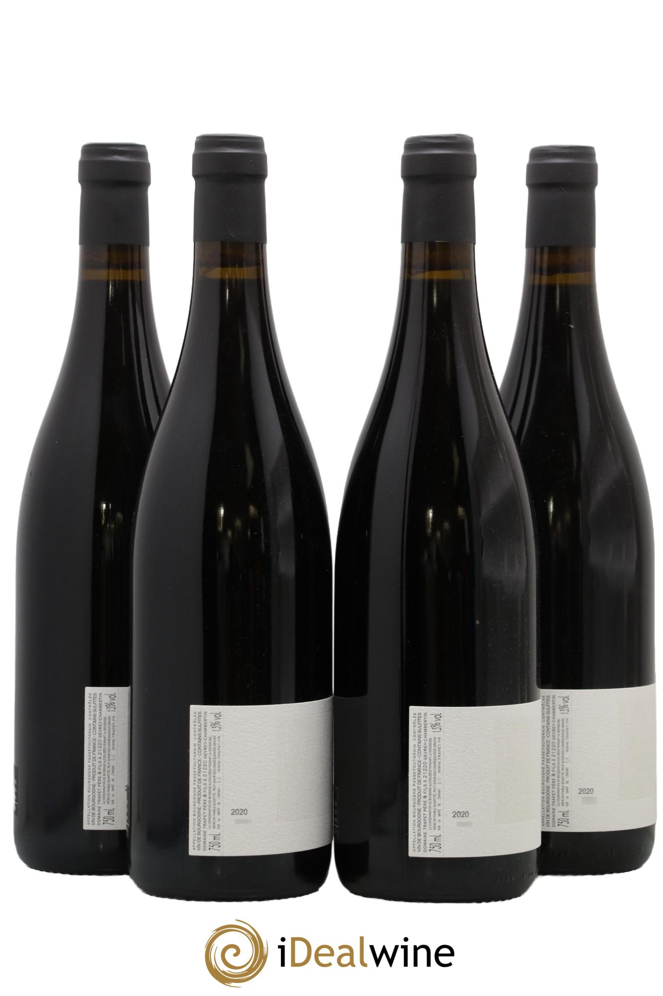 Bourgogne Passetoutgrain A Minima Domaine Trapet 2020 - Lotto di 4 bottiglie - 1