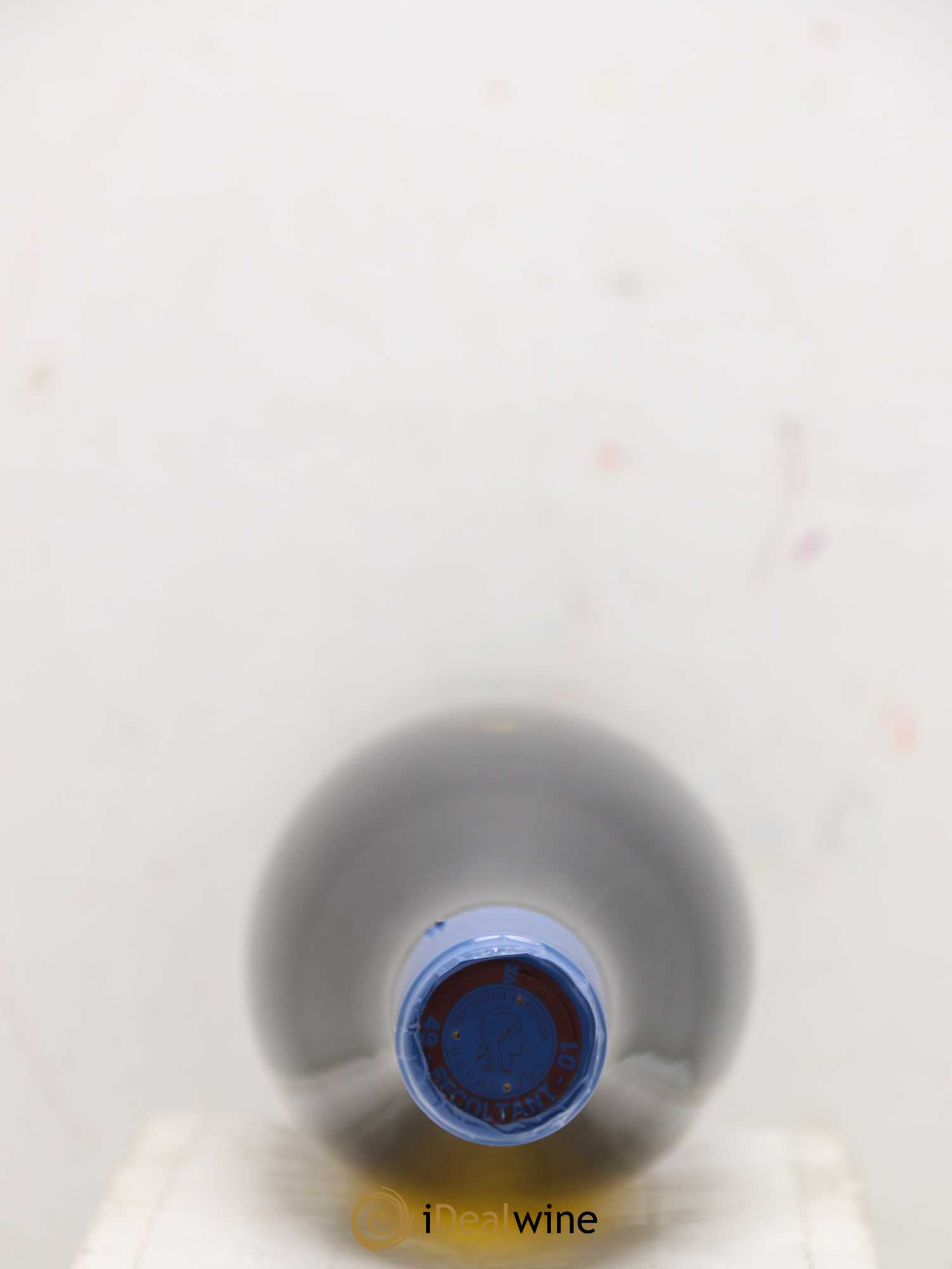 Vin de France Les Noëls de Montbenault Richard Leroy 2018 - Lot de 1 bouteille - 1