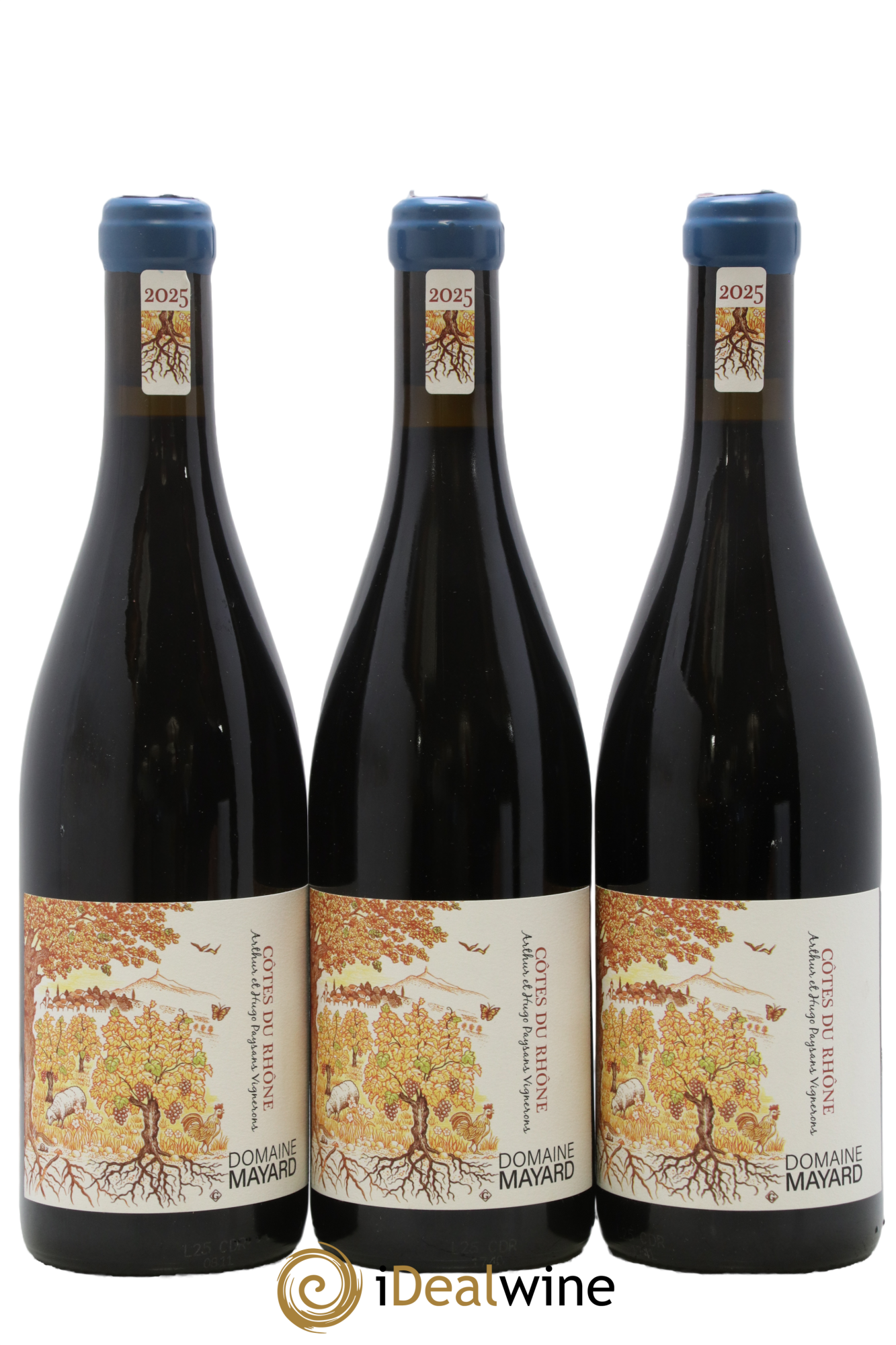 Côtes-du-Rhône Mayard (Domaine) 2025 - Lot de 3 bouteilles - 0