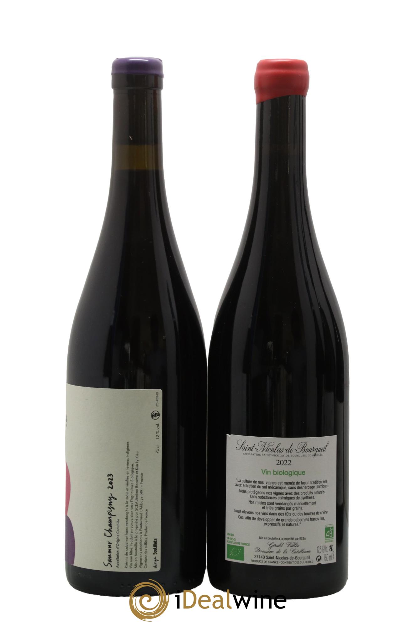 Assortiment de vins d'Anjou noir - Saumur - Bourgueil N°8 - Lot of 6 bottles - 3