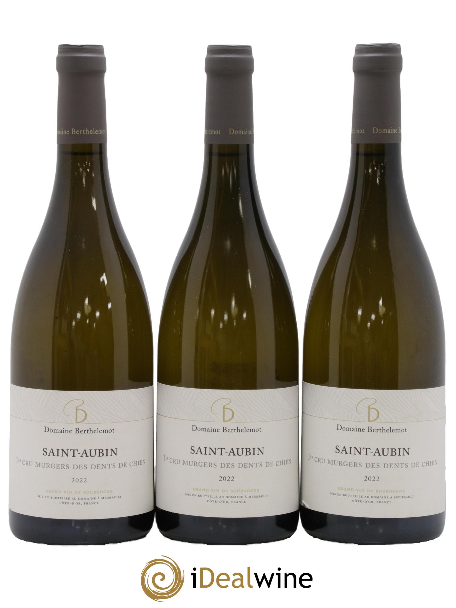 Saint-Aubin 1er Cru Les Murgers des Dents de Chien Berthelemot 2022 - Lotto di 3 bottiglie - 0