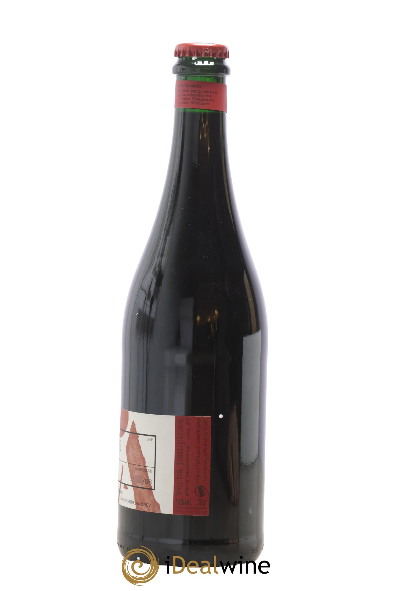 Vin de France Verba Pampinea Pinot Noir Florence Bouleaux et Pierre Andrey 2019 - Lot de 1 bouteille - 1