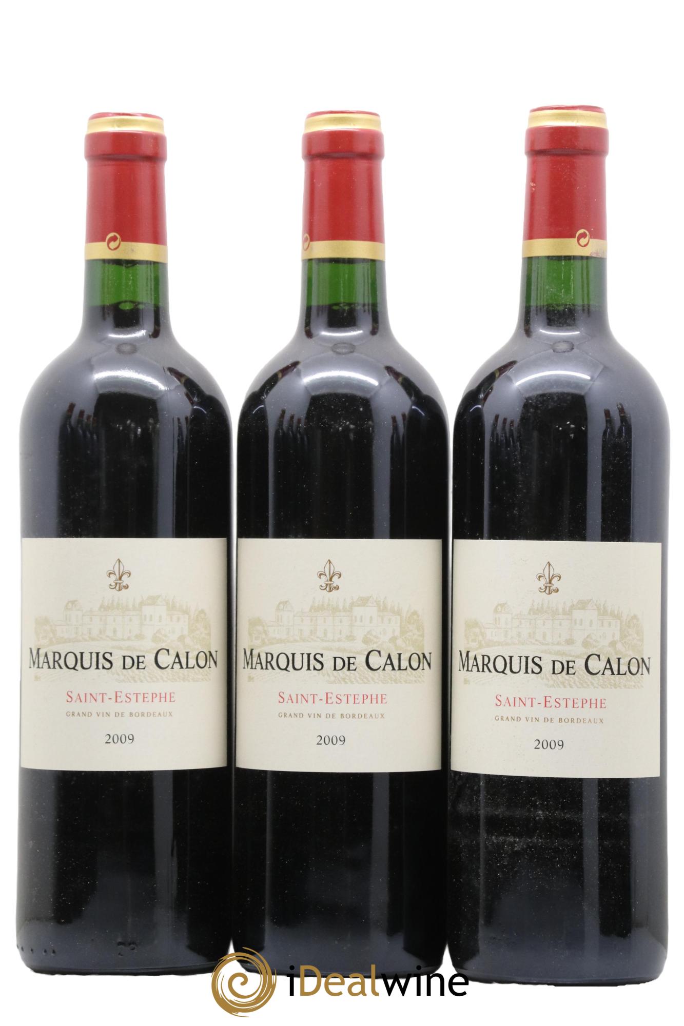 Marquis de Calon Second Vin 2009 - Lot de 12 bouteilles - 2
