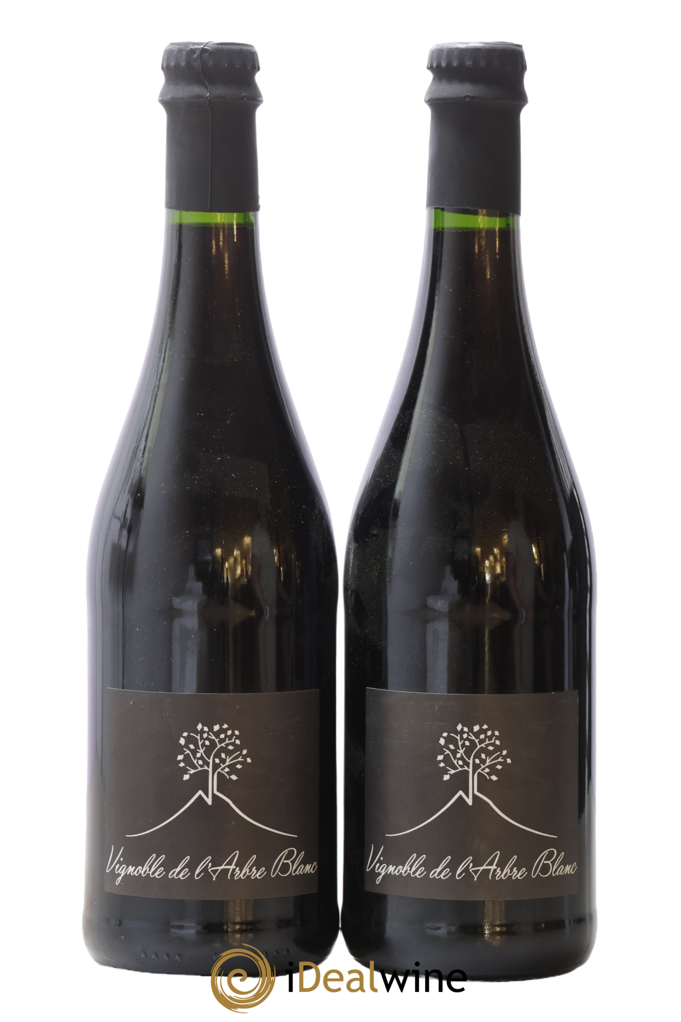 Vin de France Les Orgues Vignoble de l'Arbre Blanc 2019 - Lot of 2 bottles - 0