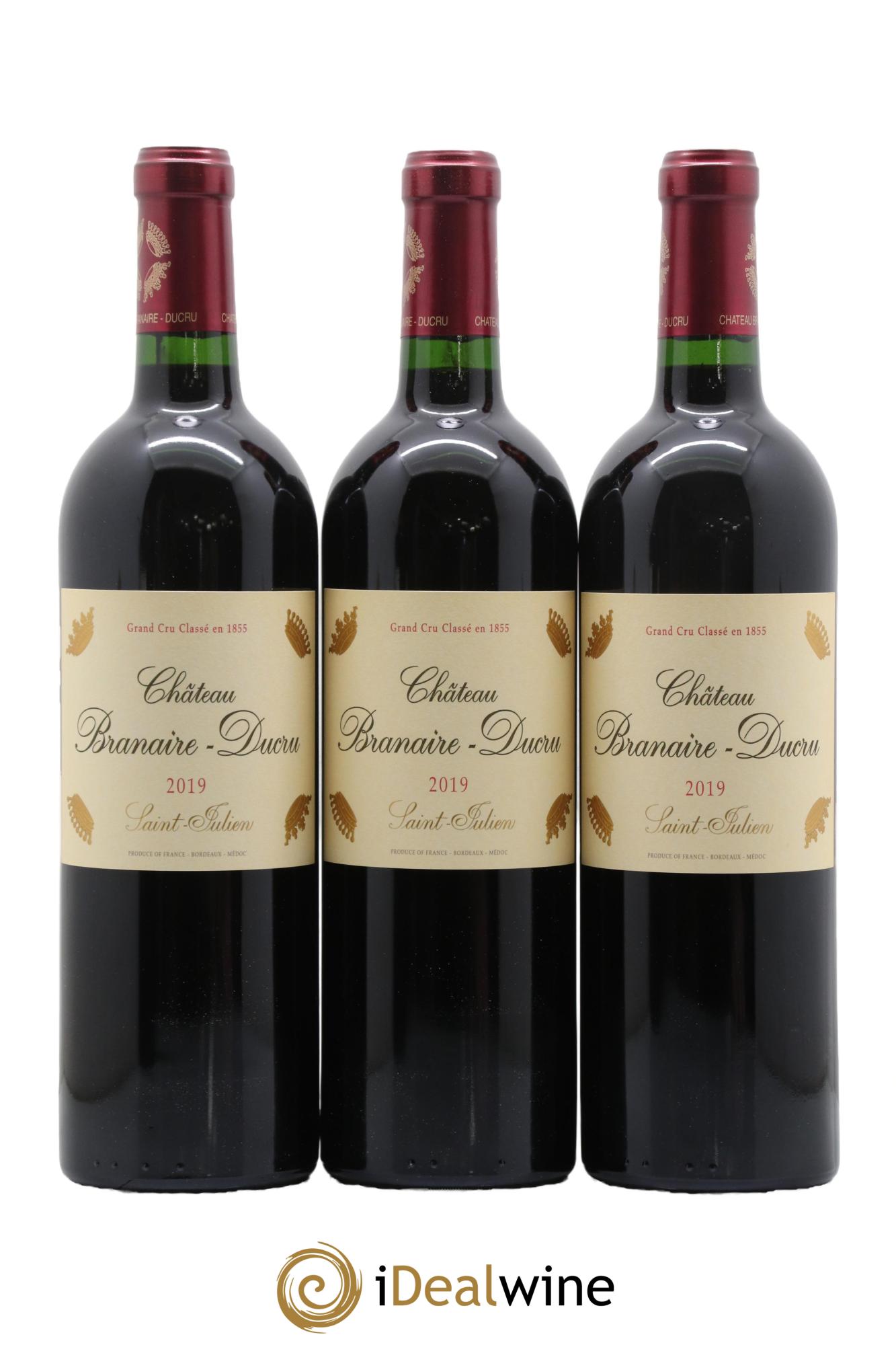Château Branaire Ducru 4ème Grand Cru Classé 2019 - Lotto di 12 bottiglie - 4