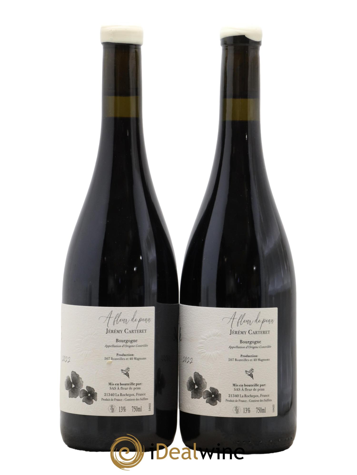 Bourgogne Ink A Fleur de Peau Jérémy Carteret 2022 - Lotto di 2 bottiglie - 1