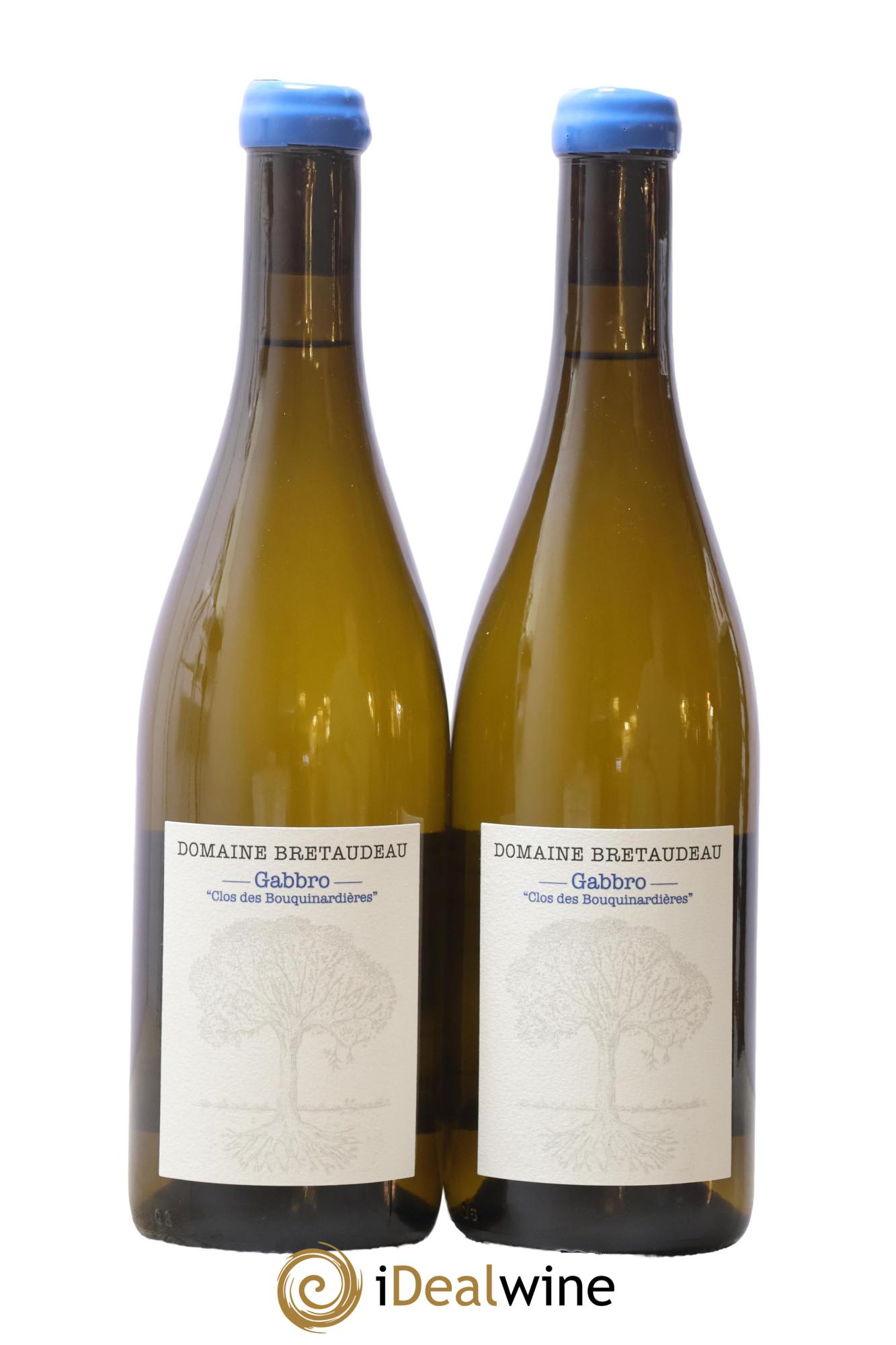 Muscadet-Sèvre-et-Maine Gabbro Clos des Bouquinardières Jérôme Bretaudeau - Domaine de Bellevue 2024 - Lot de 2 bouteilles - 0