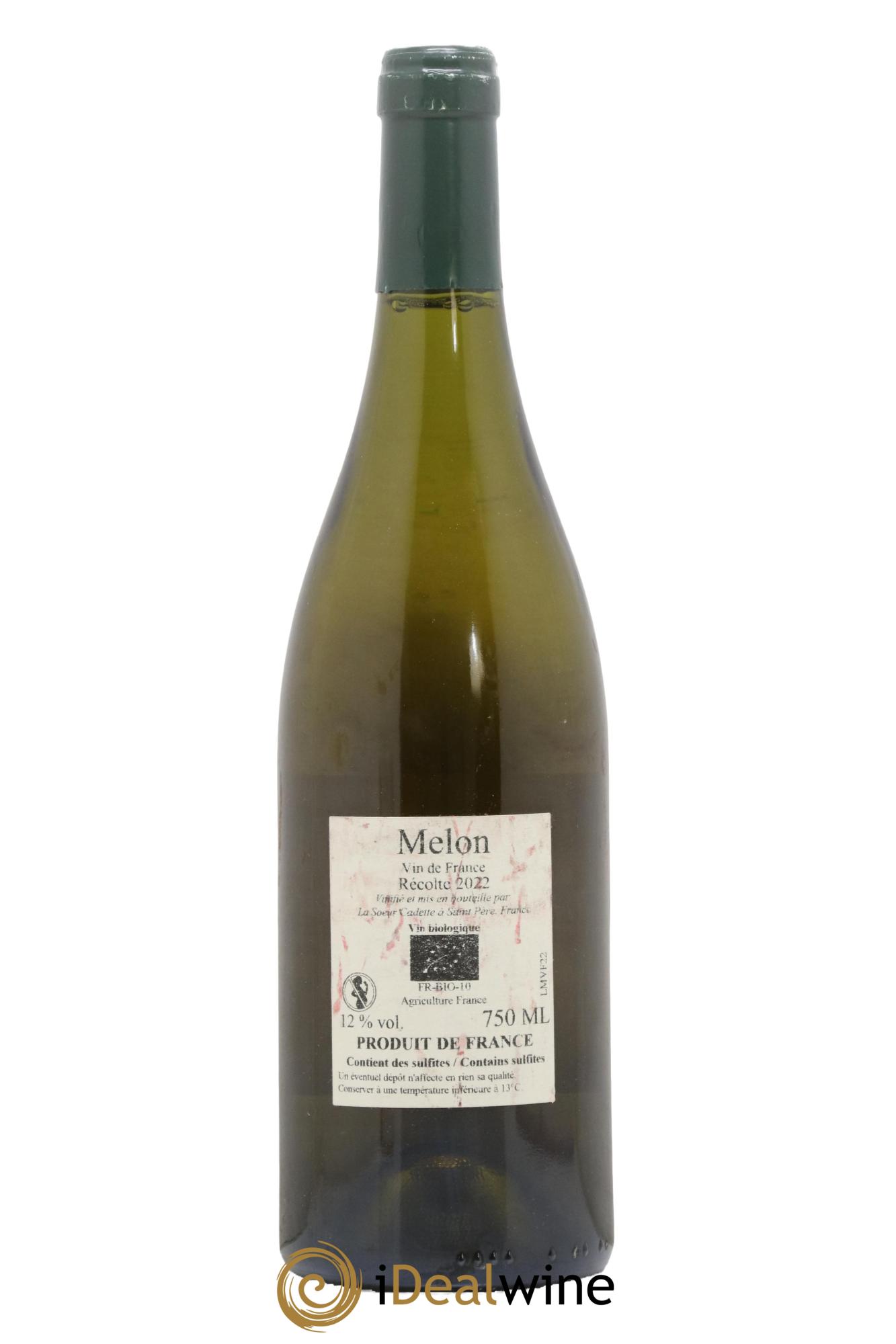Vin de France  Melon La Soeur Cadette  2022 - Posten von 1 Flasche - 1