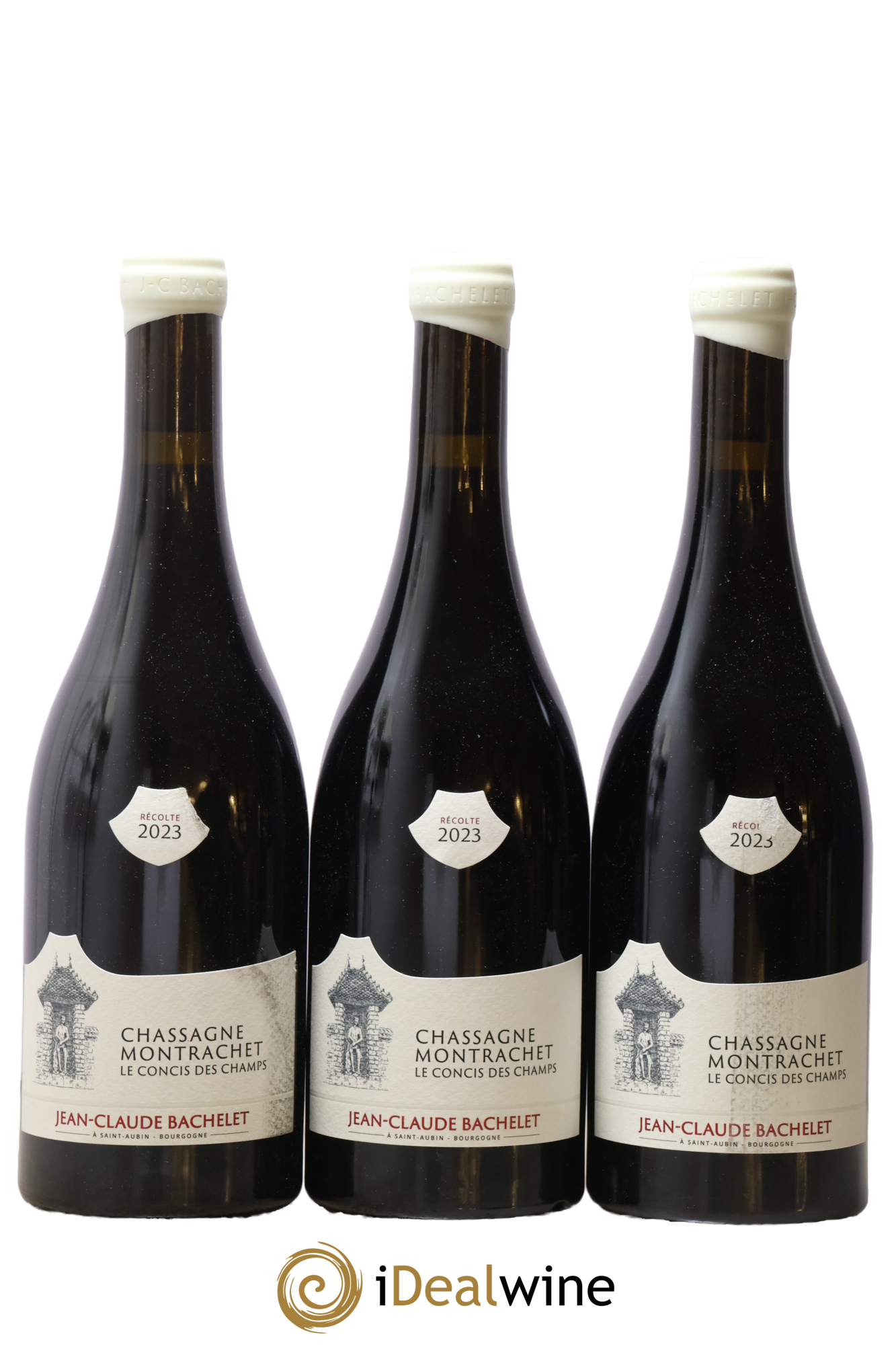 Chassagne-Montrachet Le Concis Des Champs Jean-Claude Bachelet (Domaine) 2023 - Lotto di 3 bottiglie - 0