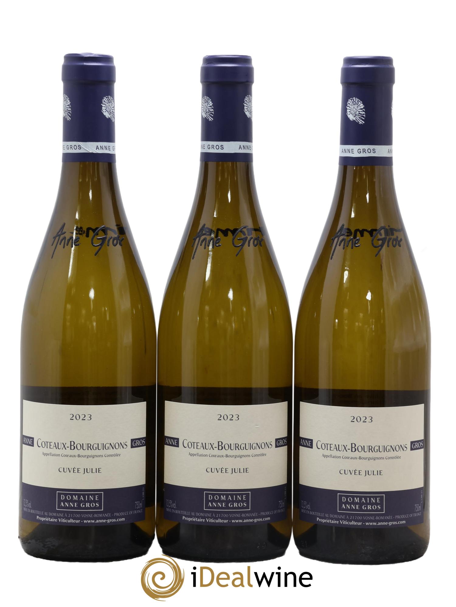 Coteaux Bourguignons Cuvée Julie Anne Gros 2023 - Lot de 3 bouteilles - 0