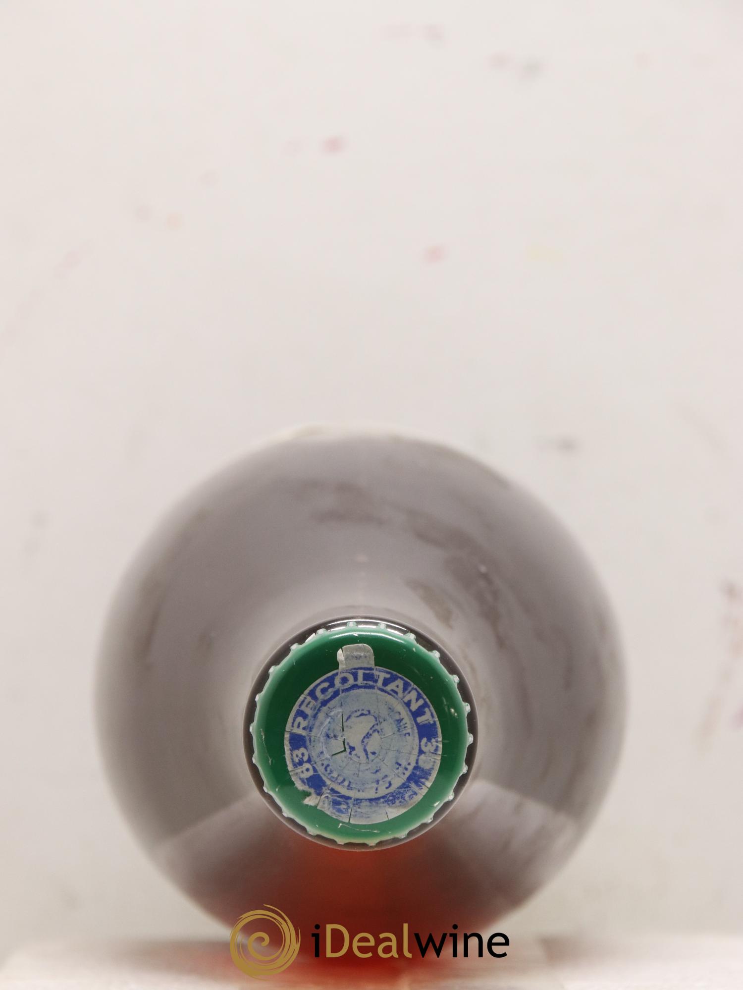 Vin de France Buisson Ardent Aurélien Lefort 2017 - Lot of 1 bottle - 2