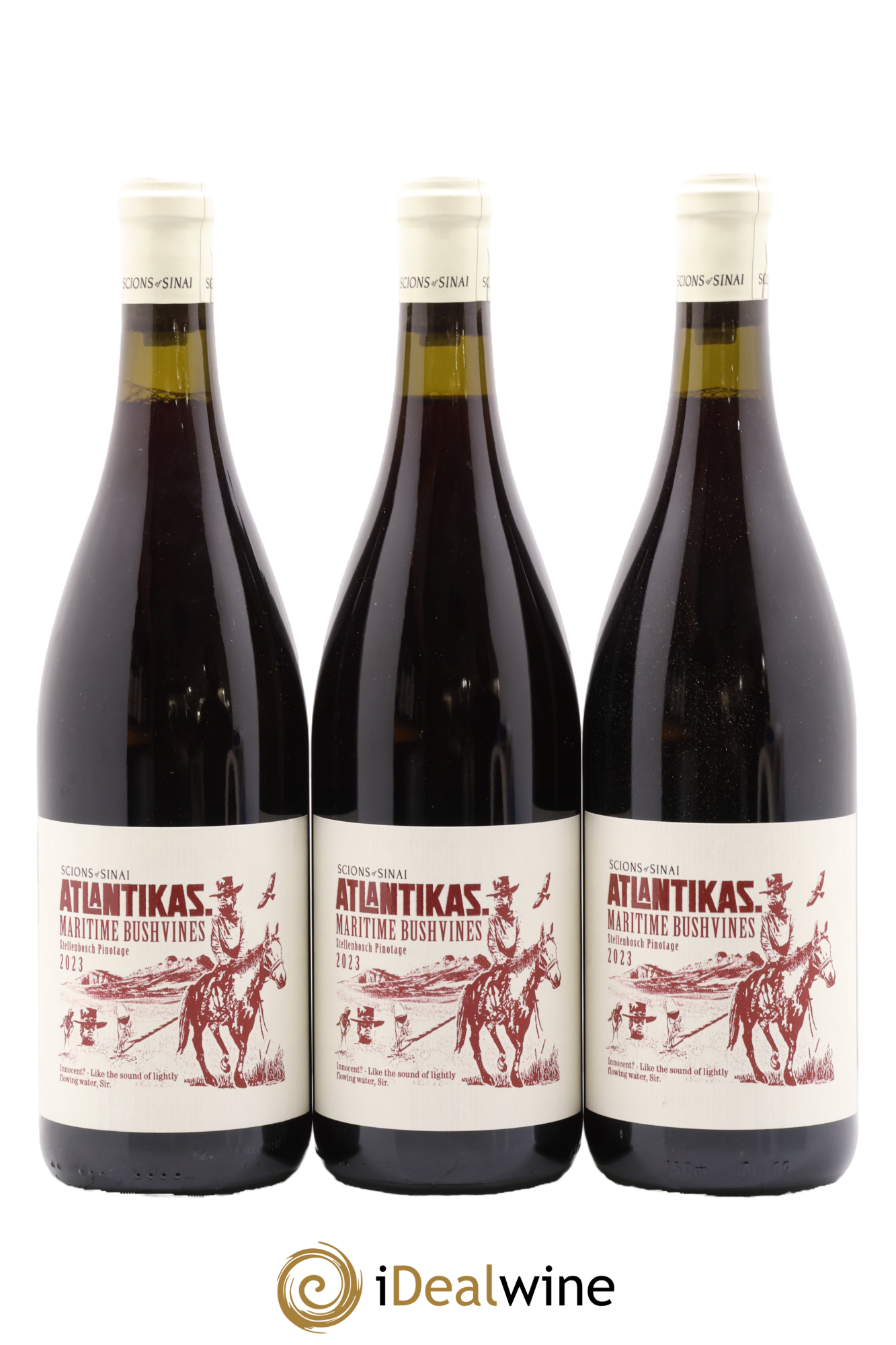 Afrique du Sud Scions of Sinai Pinotage Atlantikas 2023 - Lot de 3 bouteilles - 0