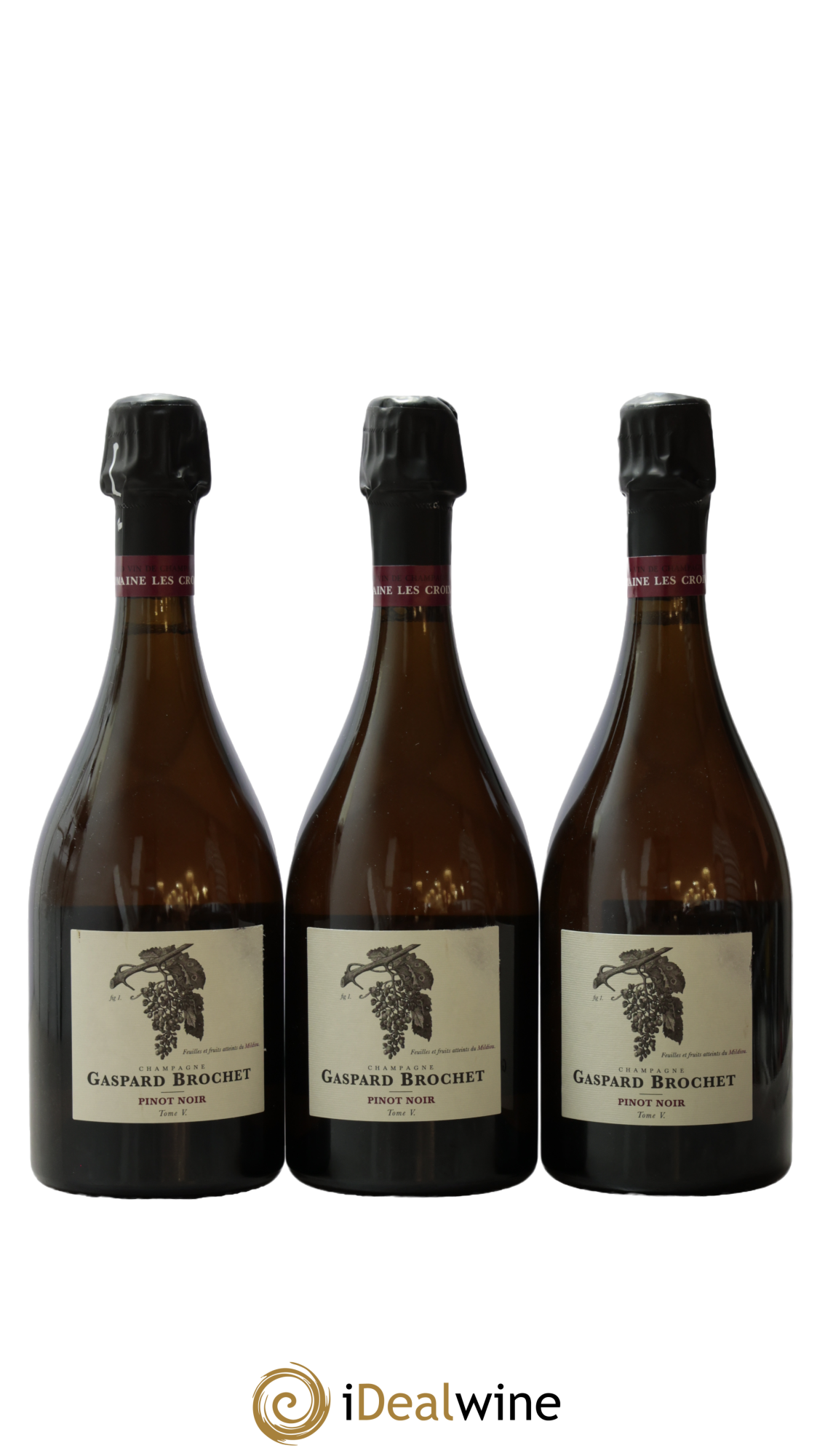 Pinot Noir Extra-Brut Tome V Gaspard Brochet 2021 - Lot of 3 bottles - 0