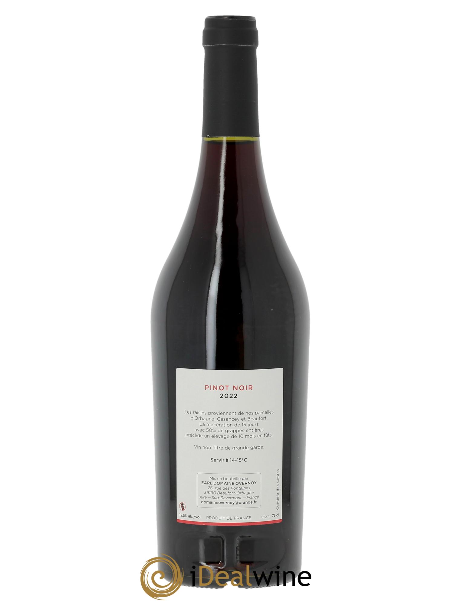 Côtes du Jura Pinot Noir Guillaume Overnoy  2022 - Lotto di 1 bottiglia - 1
