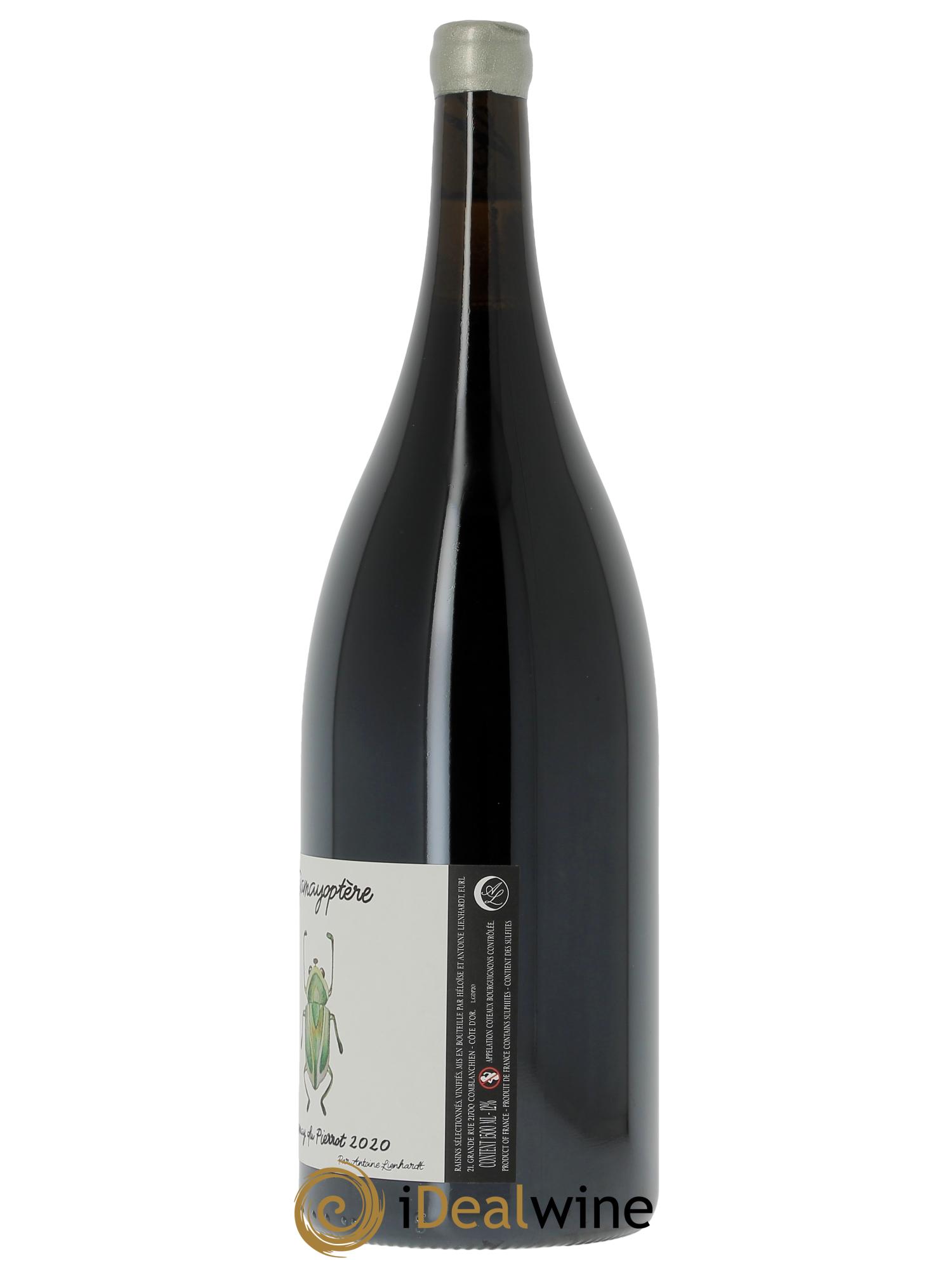Coteaux Bourguignons Gamayoptère Antoine Lienhardt  2020 - Lot de 1 magnum - 1