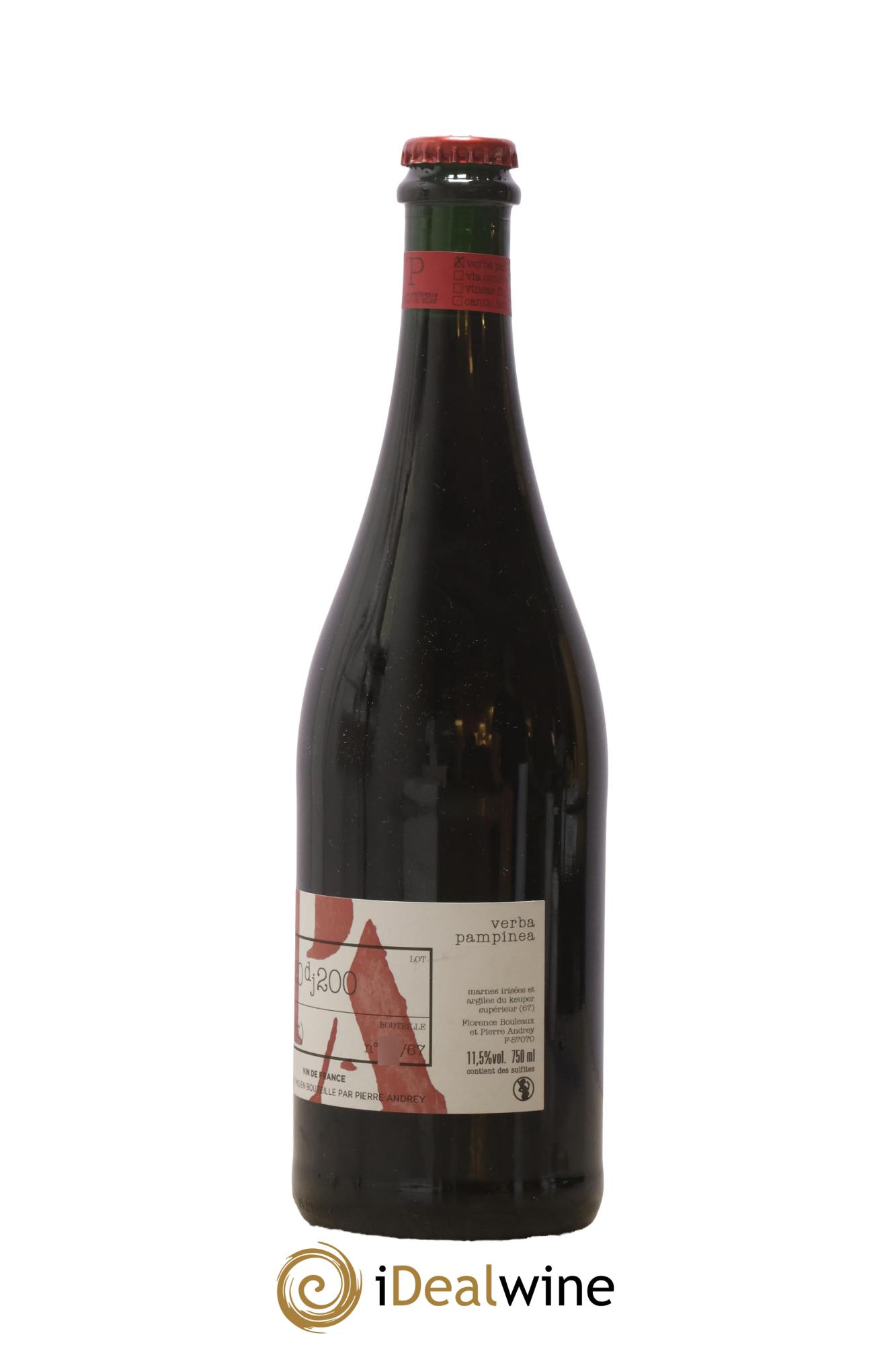Vin de France Verba Pampinea Pinot Noir Florence Bouleaux et Pierre Andrey 2020 - Lotto di 1 bottiglia - 1